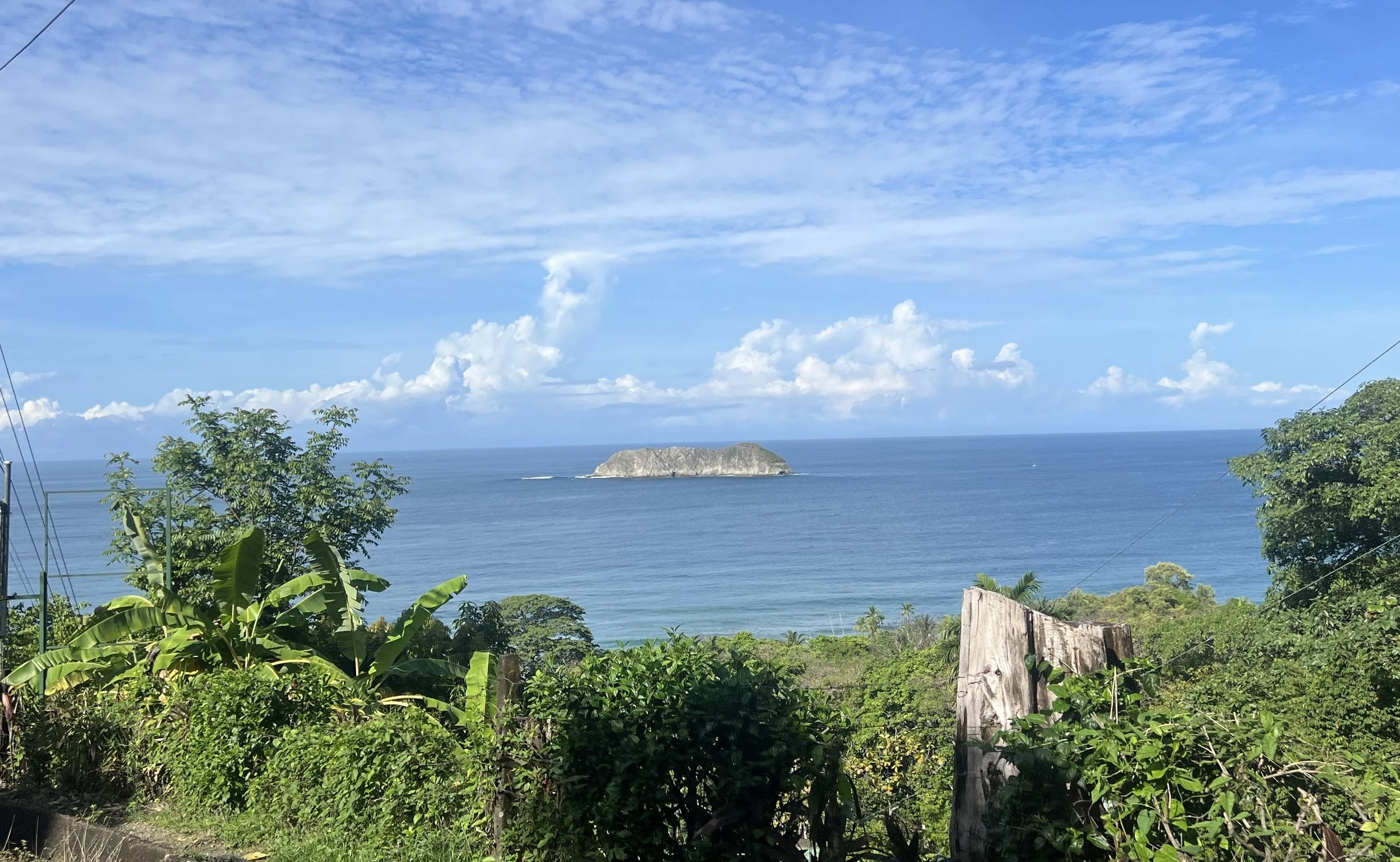 IMG_8663.JPEG