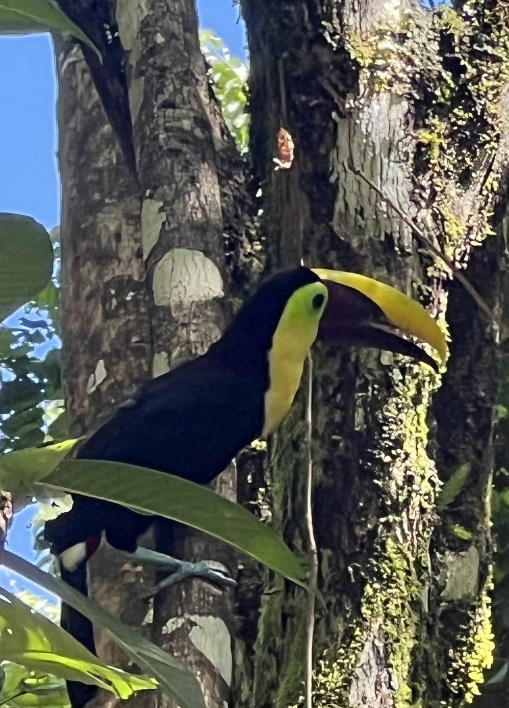 IMG_8679.JPEG