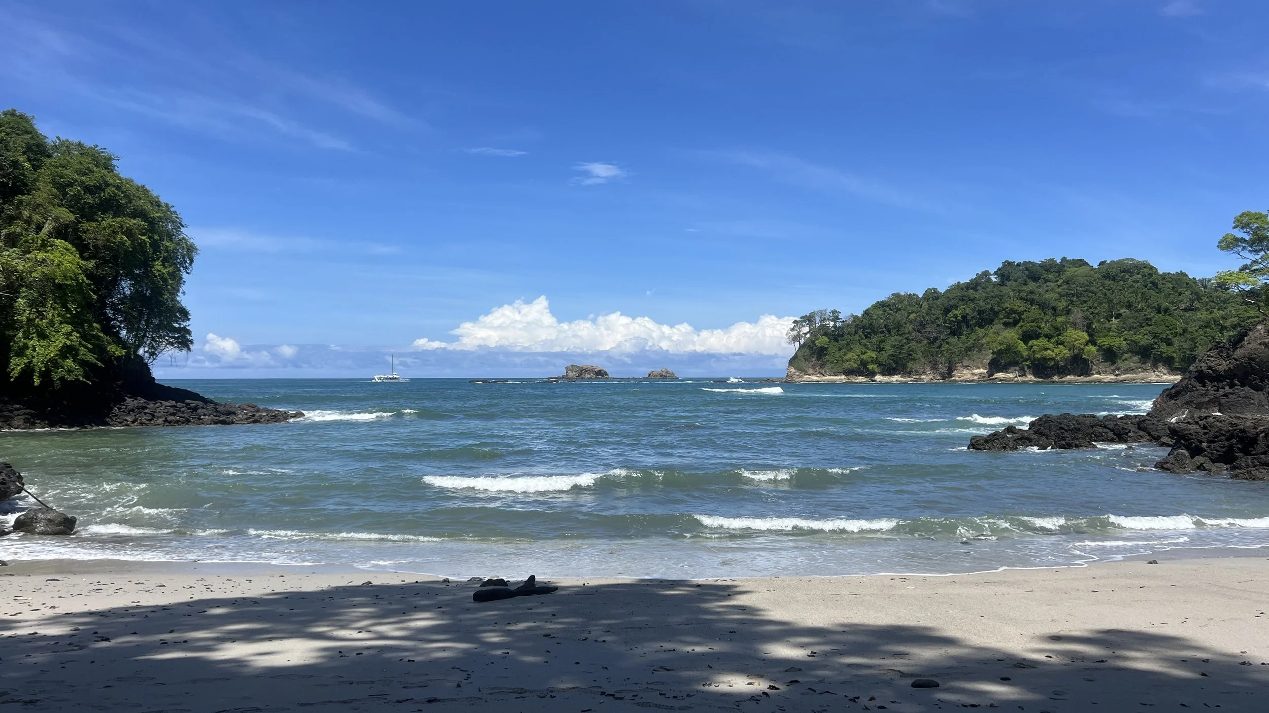 IMG_8692.JPEG