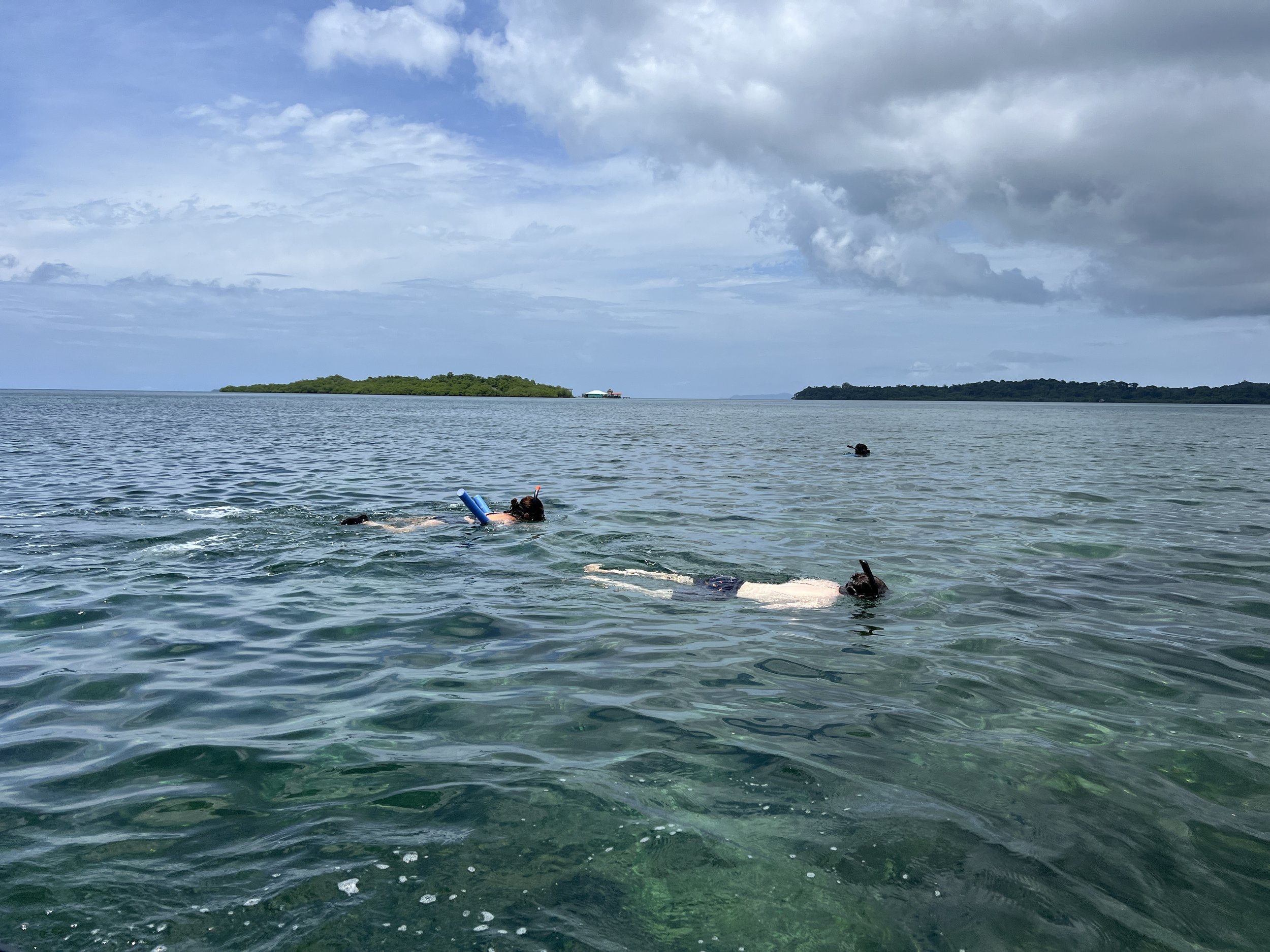 IMG_9090.JPG
