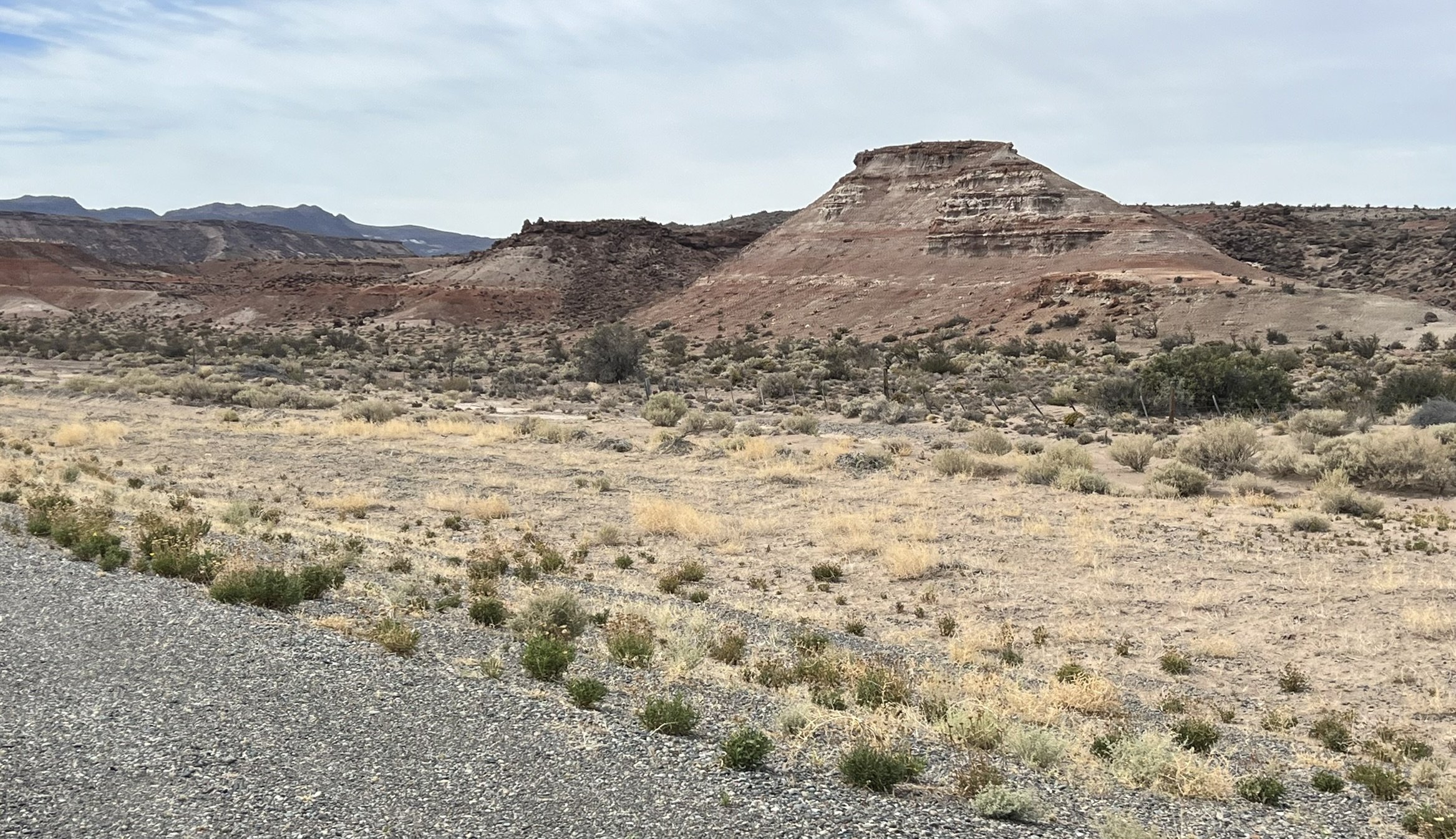 IMG_0920.JPEG