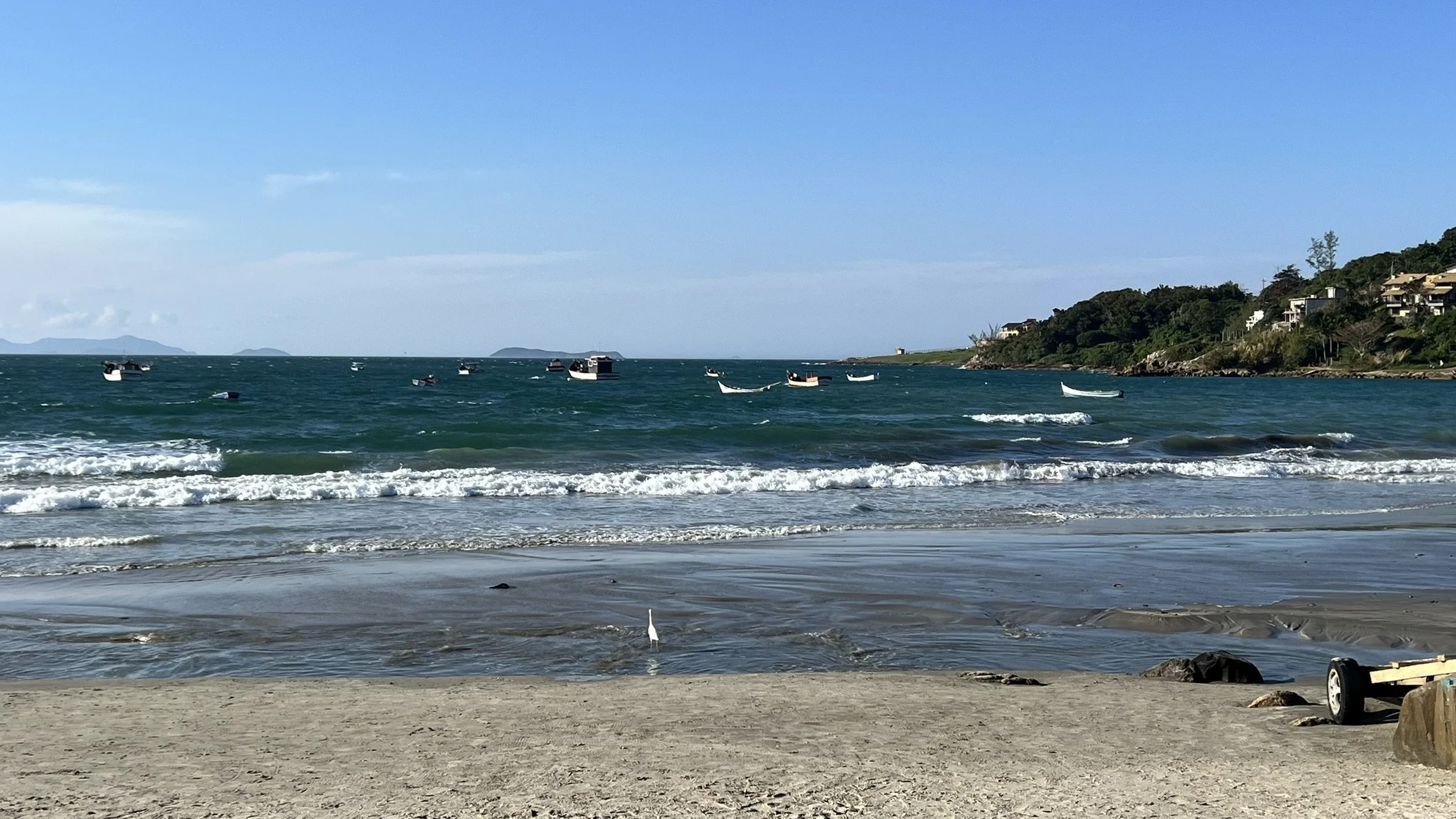 IMG_3794.JPEG