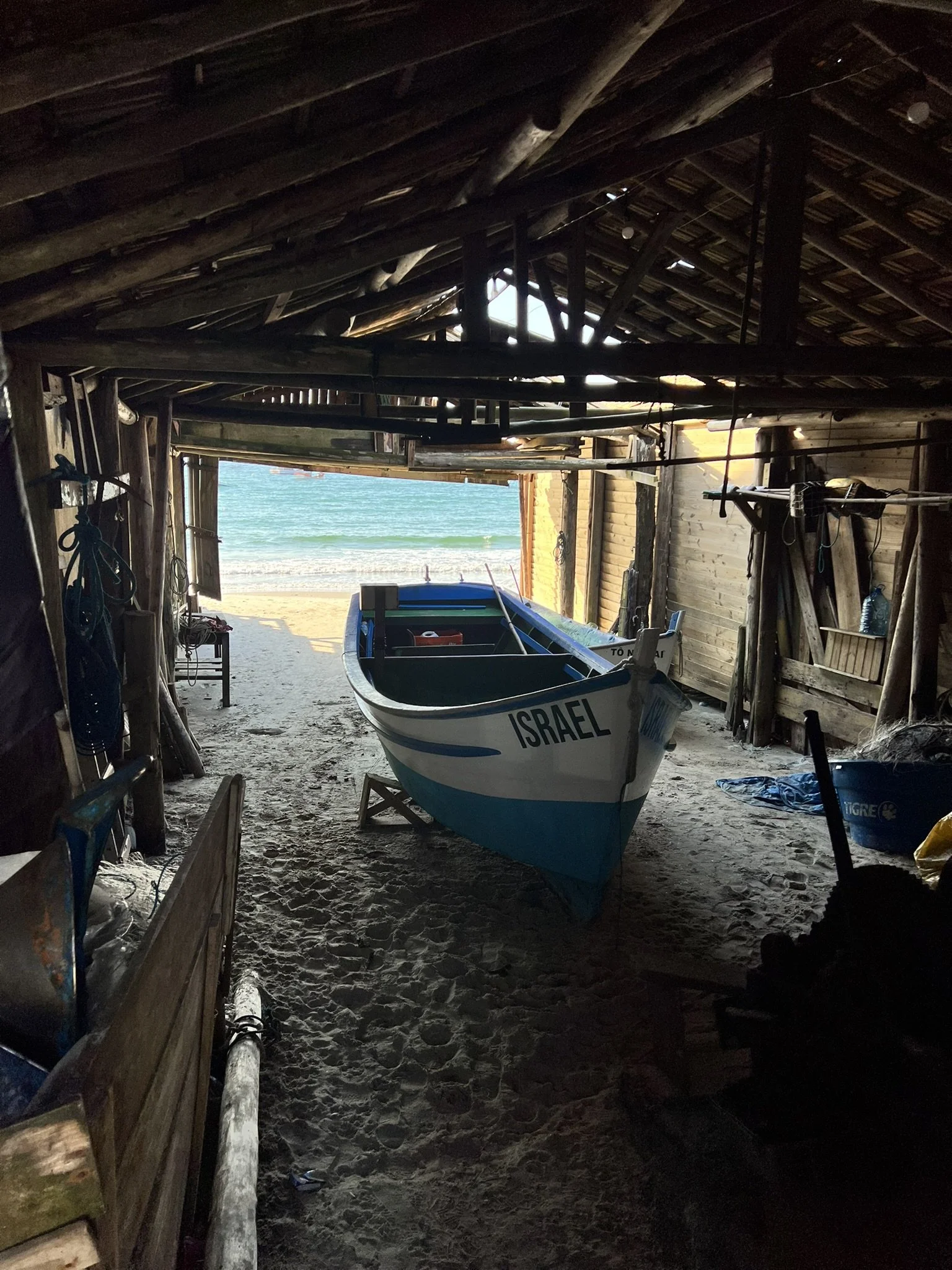 IMG_3851.JPEG
