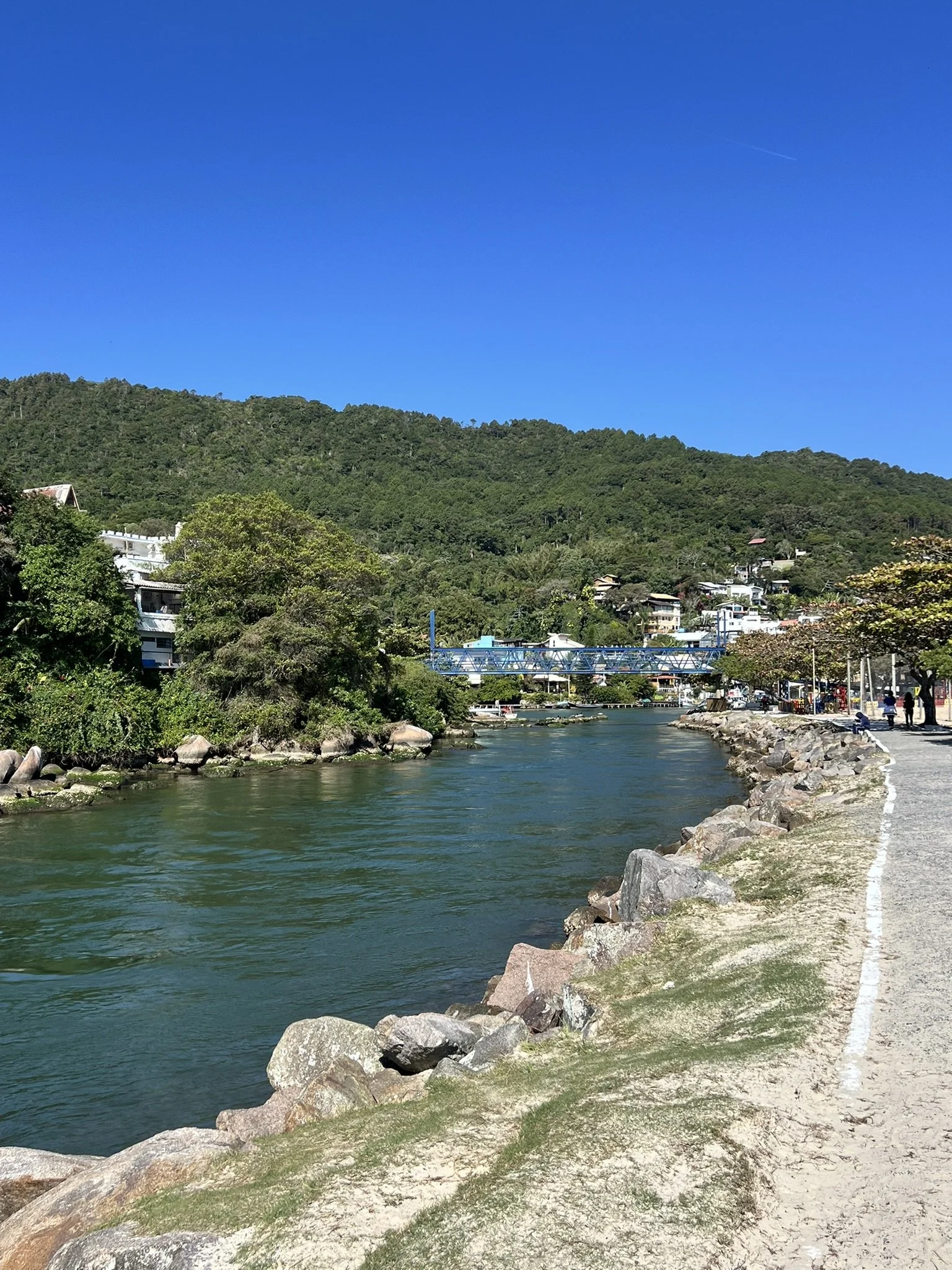 IMG_3877.JPEG