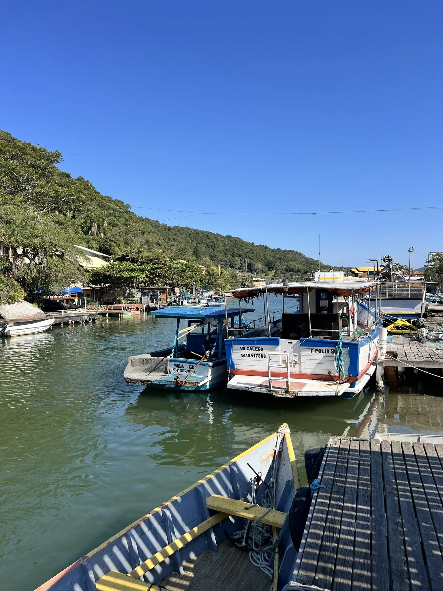 IMG_3886.JPEG