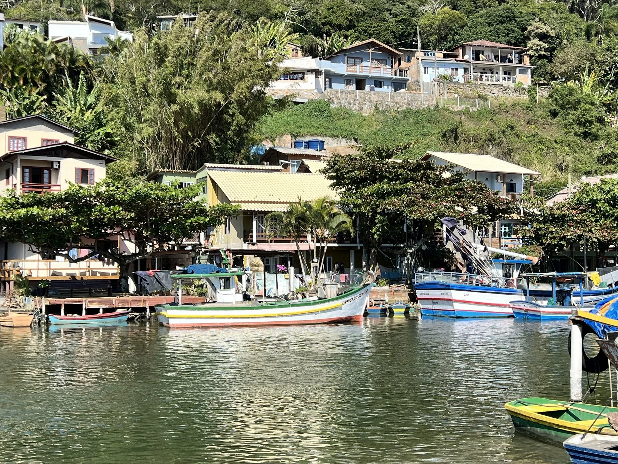 IMG_3887.JPEG