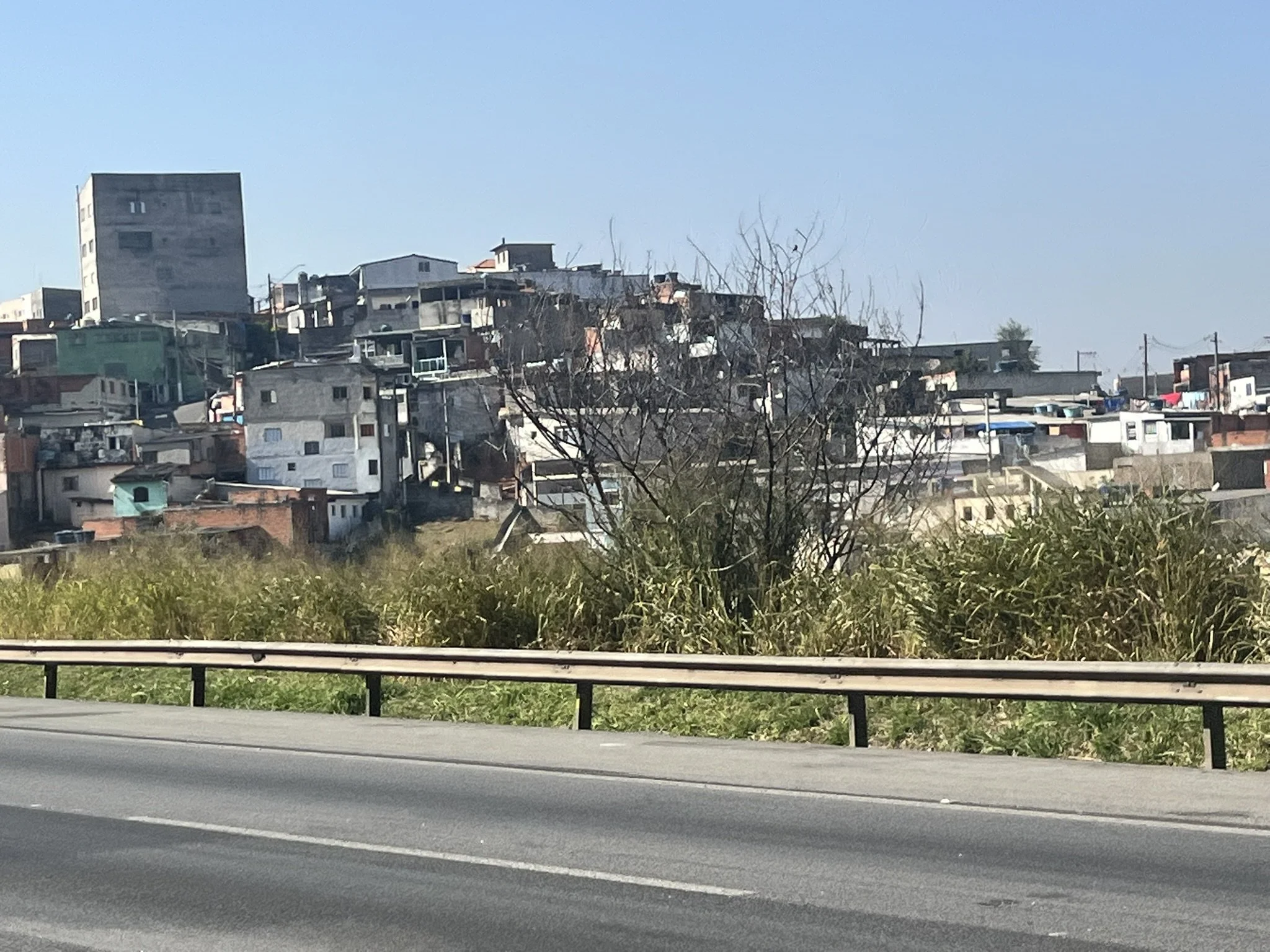 IMG_3255.JPEG