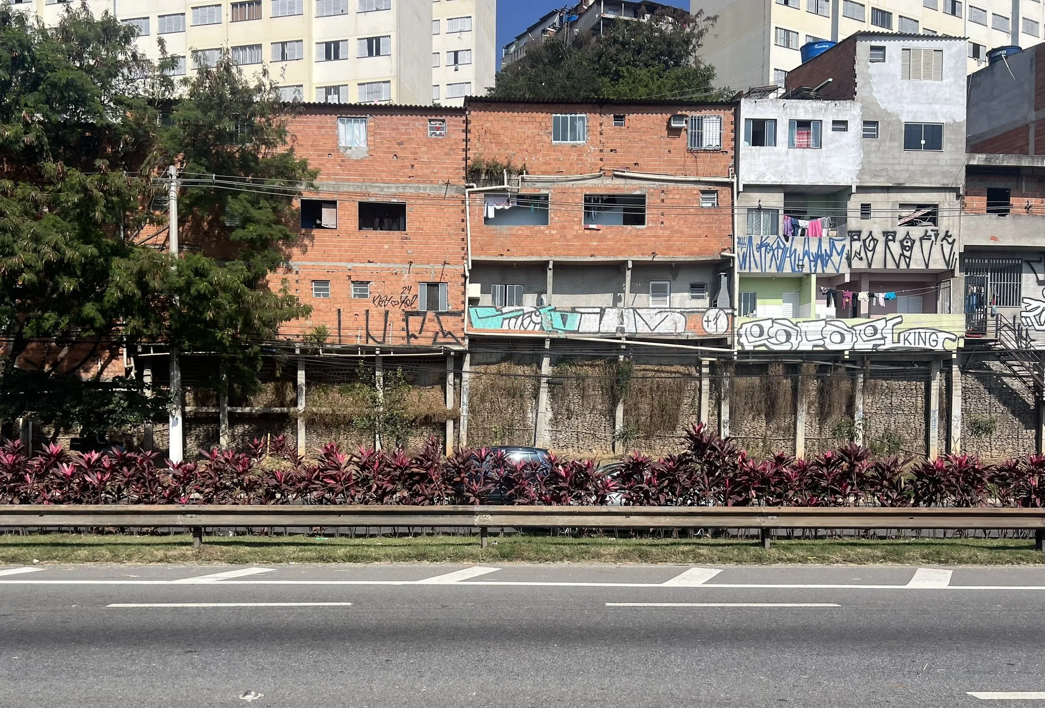 IMG_3277.JPEG