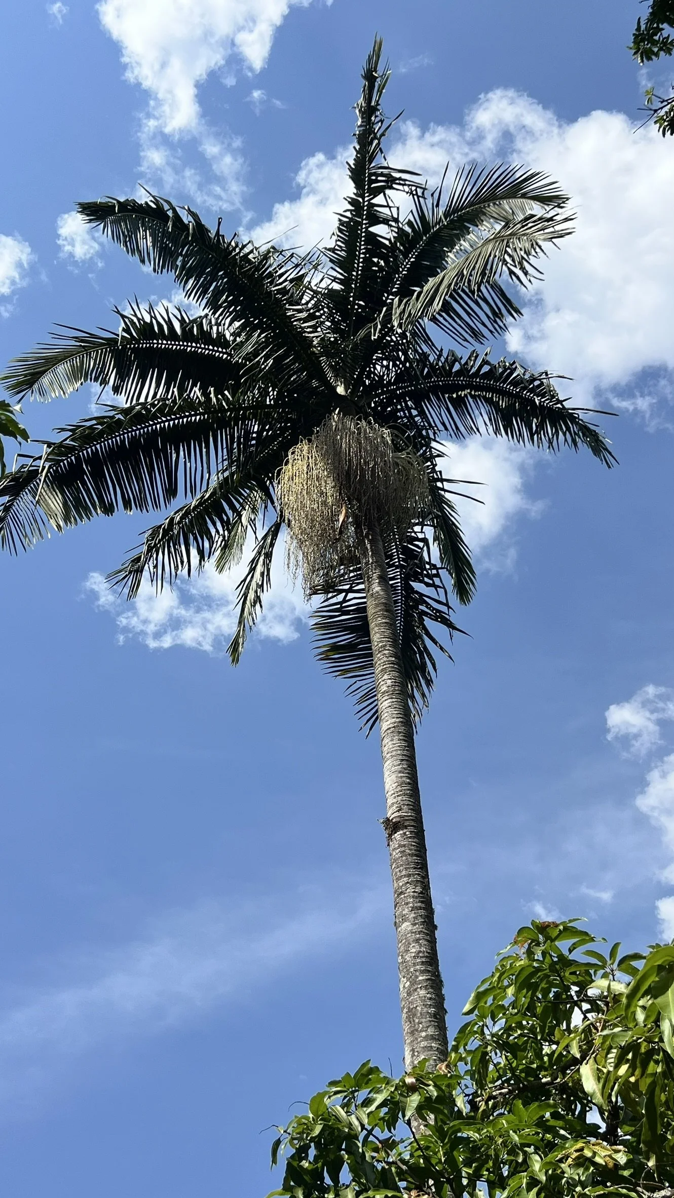 IMG_4064.JPEG