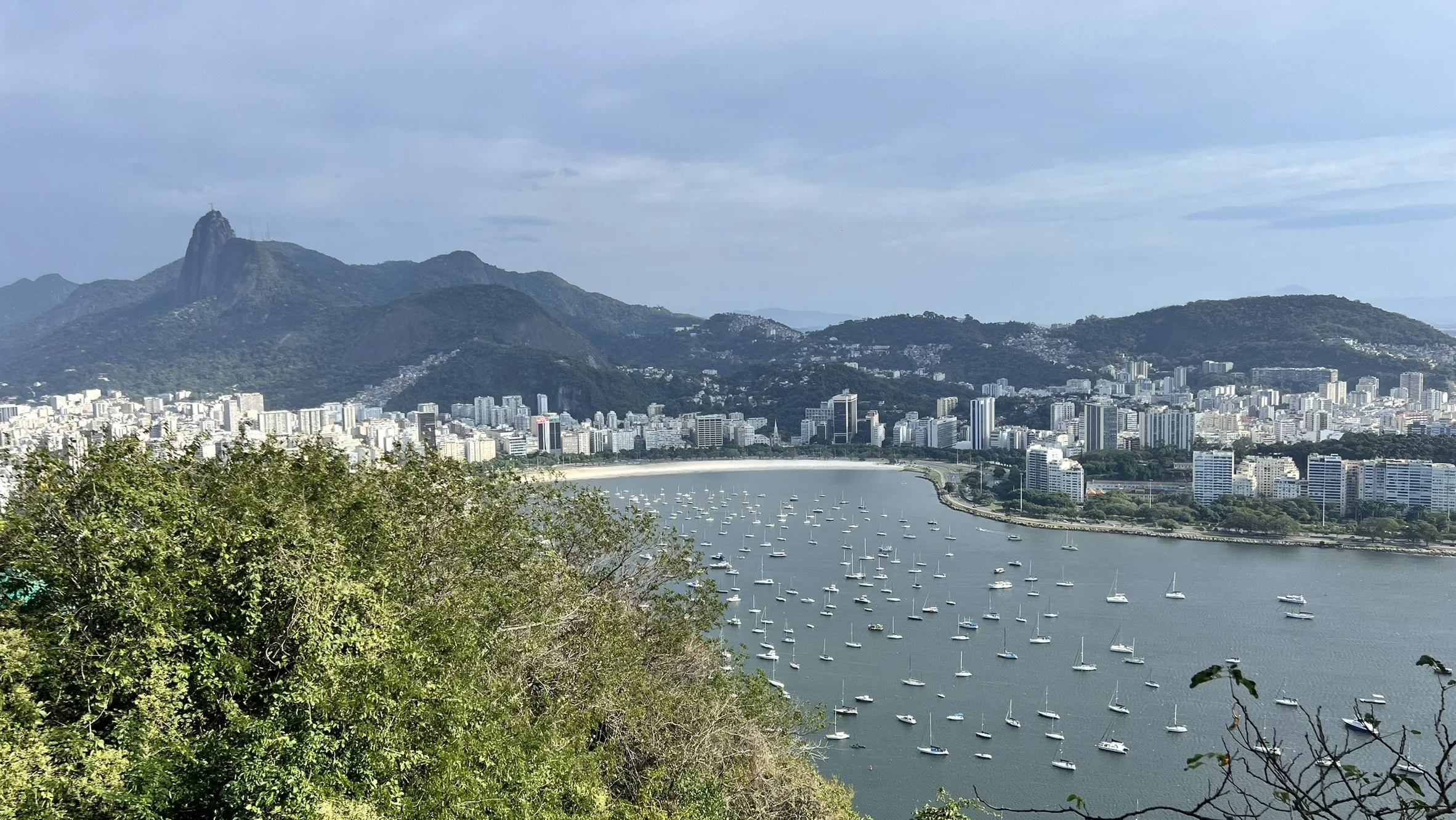 IMG_4182.JPEG
