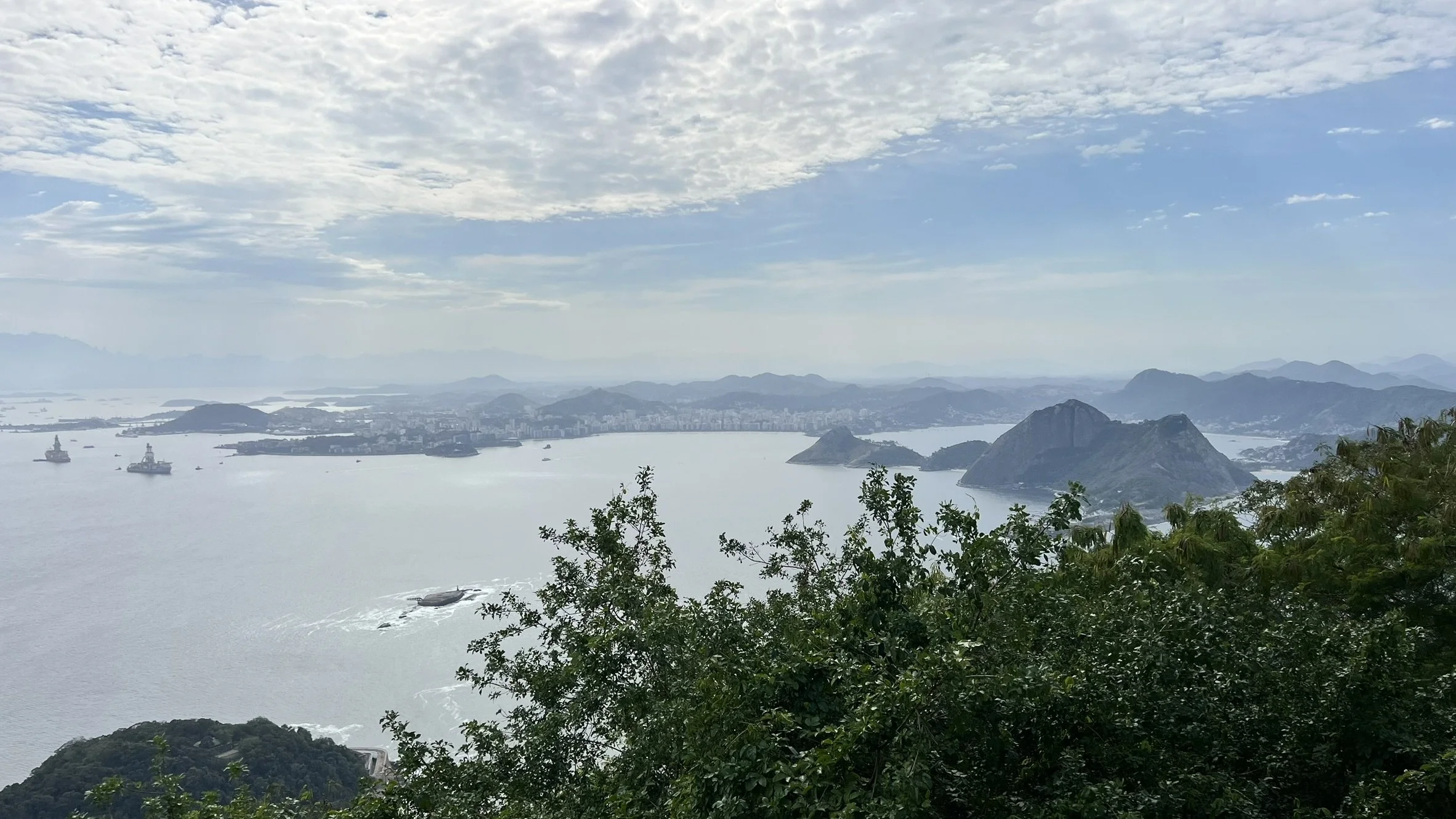 IMG_4206.JPEG