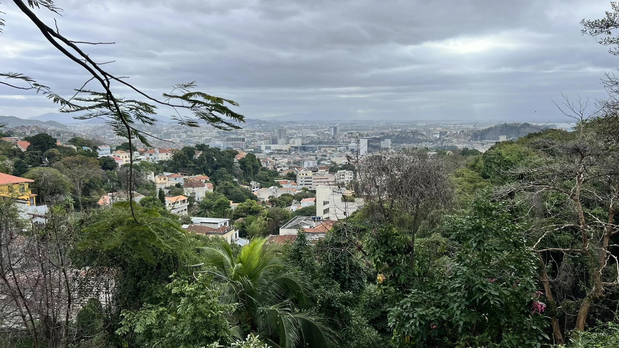 IMG_4334.JPEG