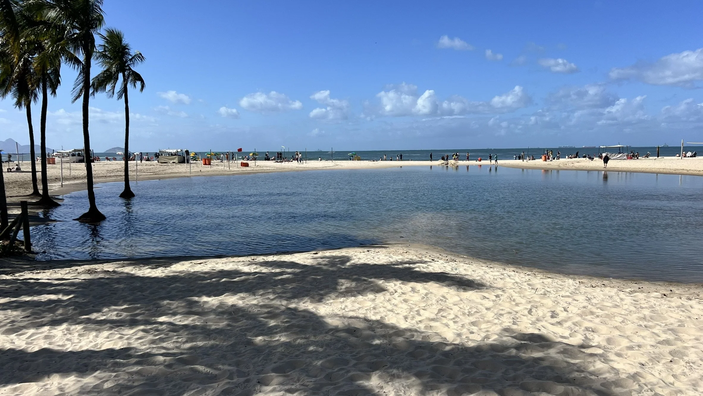 IMG_4352.JPEG