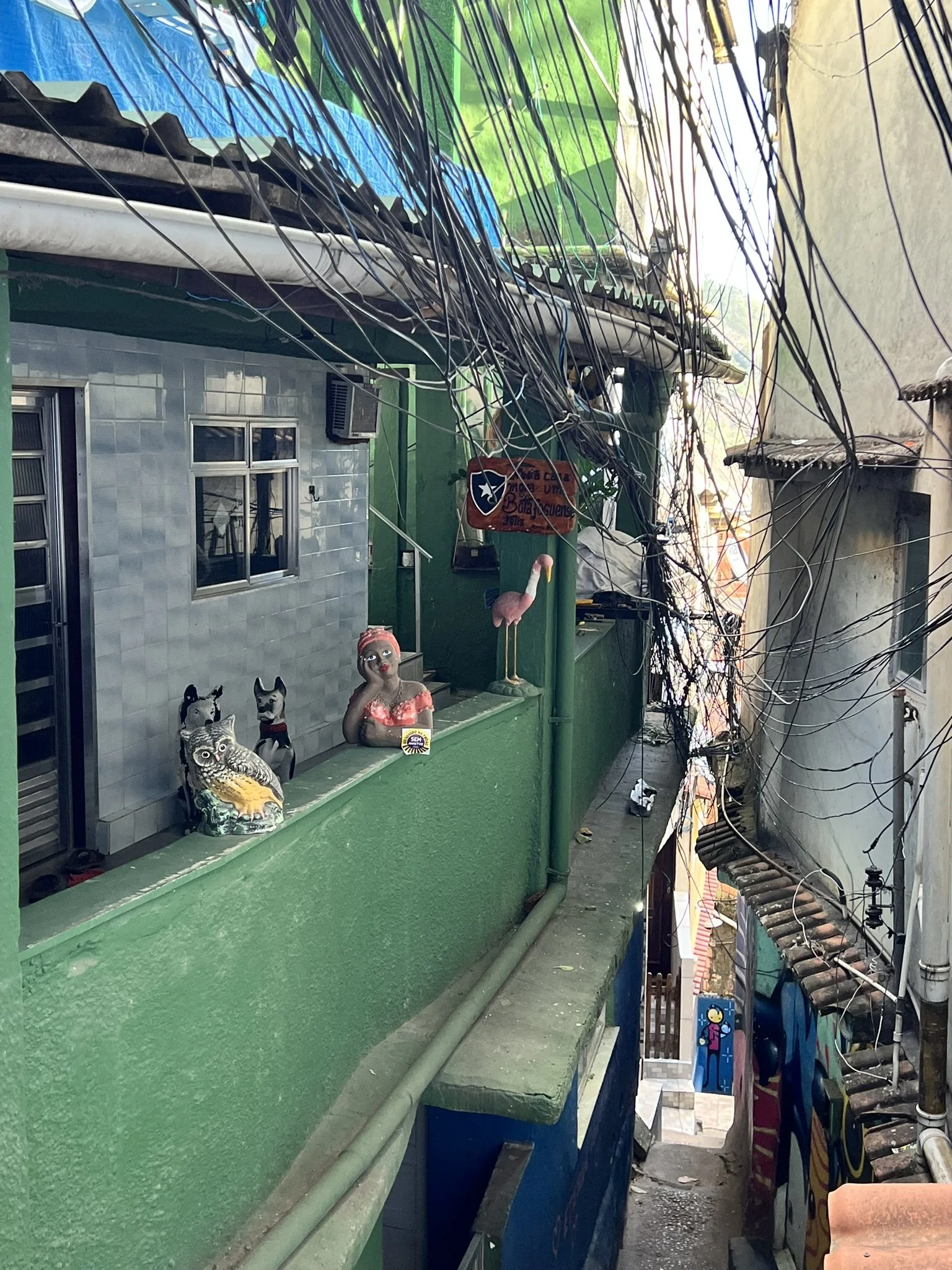 IMG_4397.JPEG