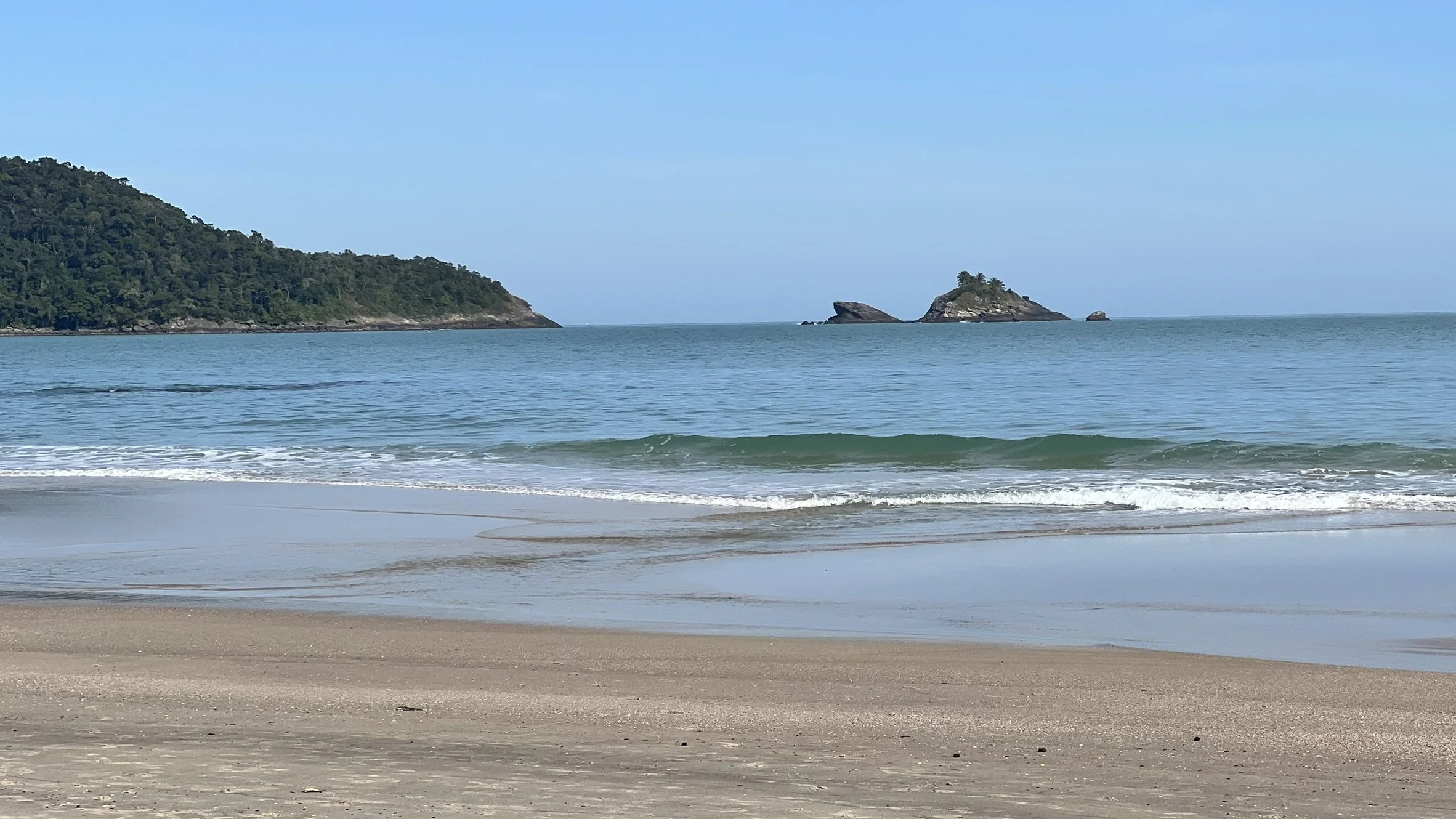 IMG_4564.JPEG
