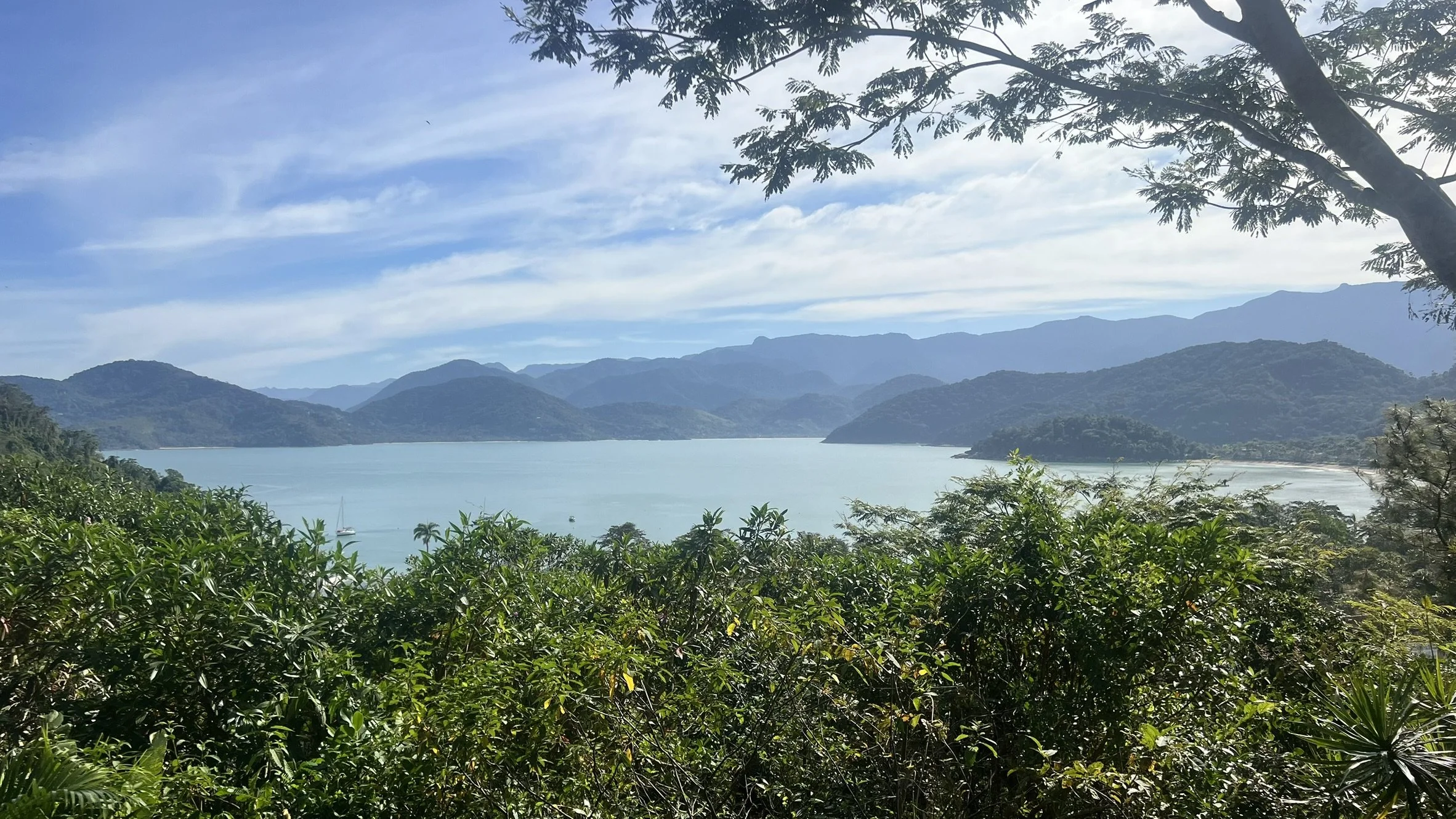 IMG_4592.JPEG