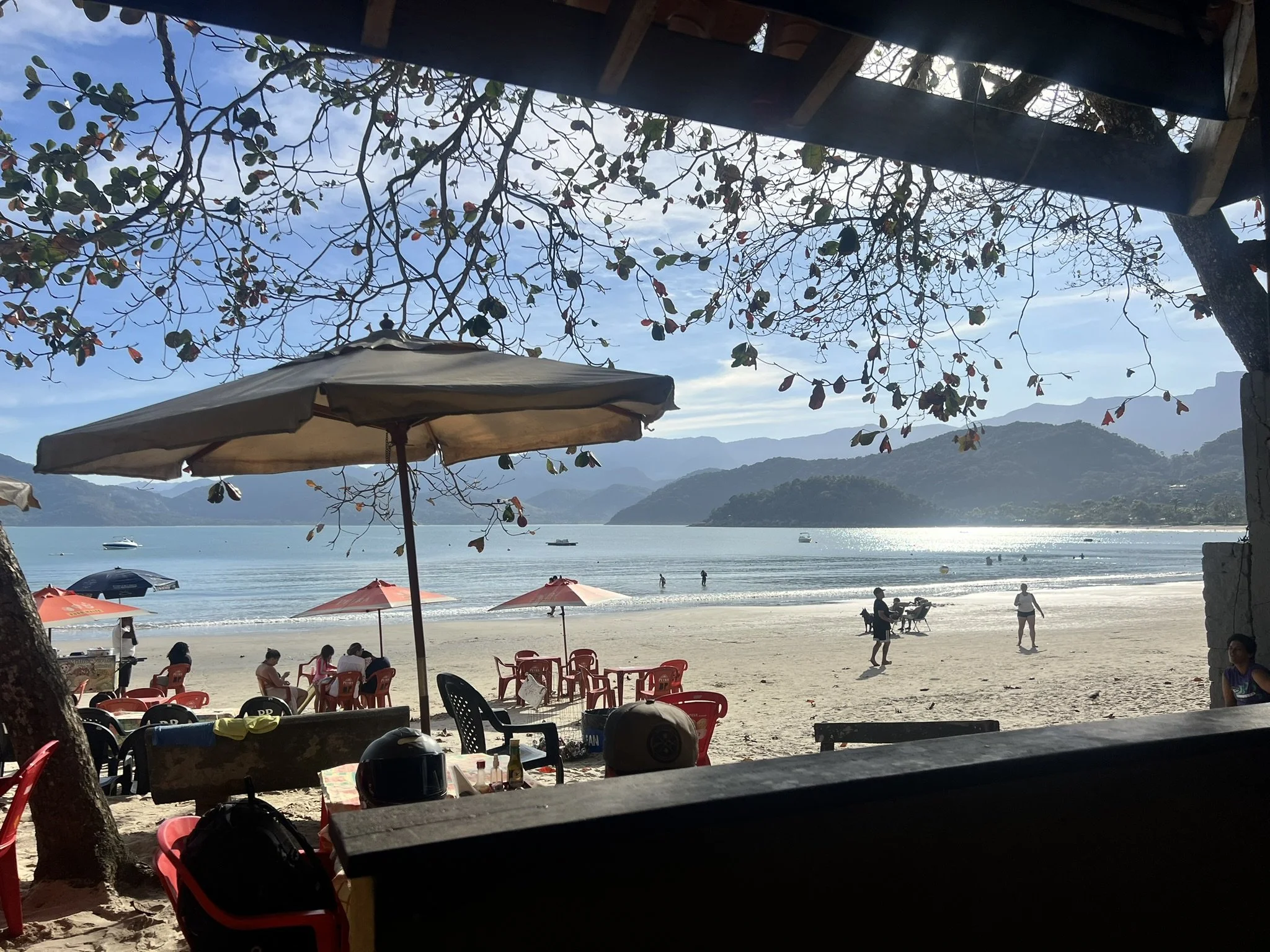 IMG_4595.JPEG