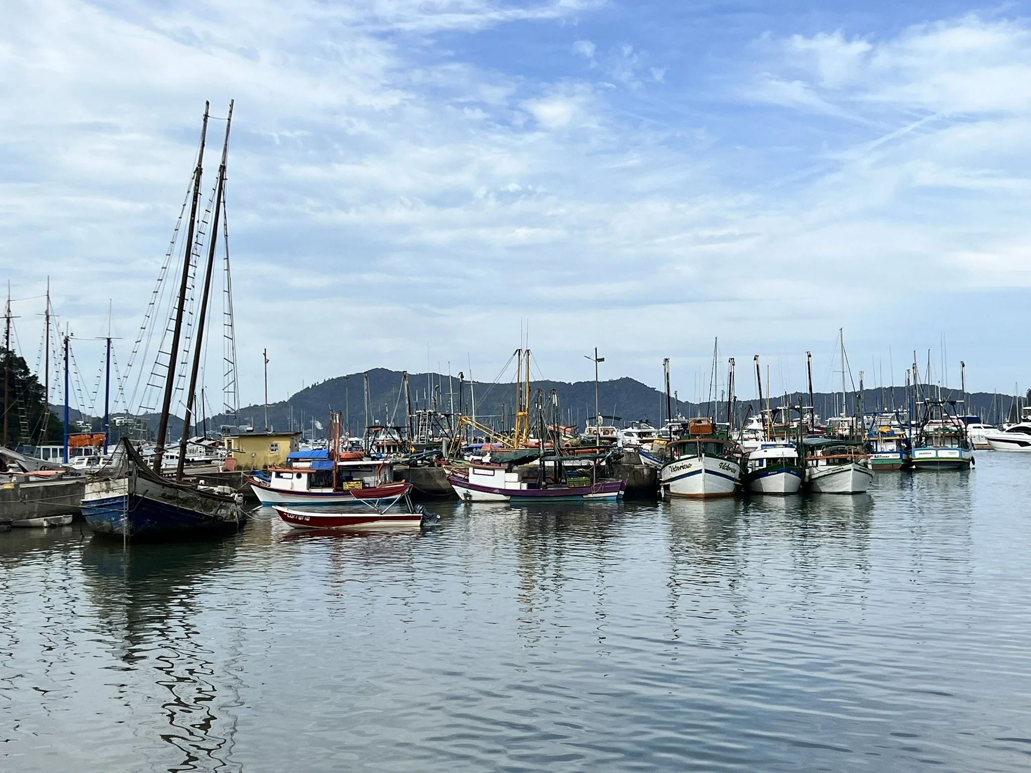 IMG_4616.JPEG