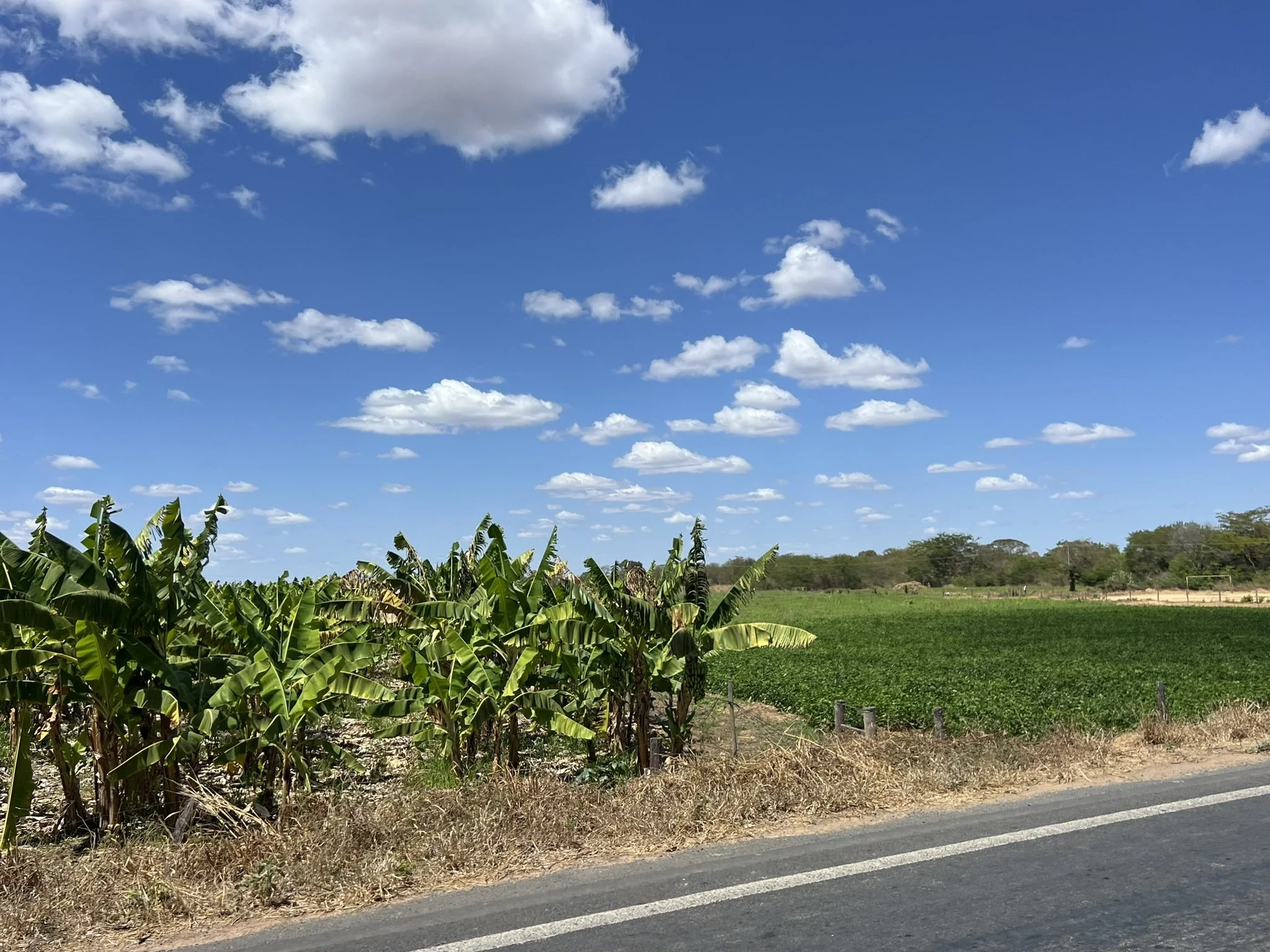 IMG_0713.JPEG