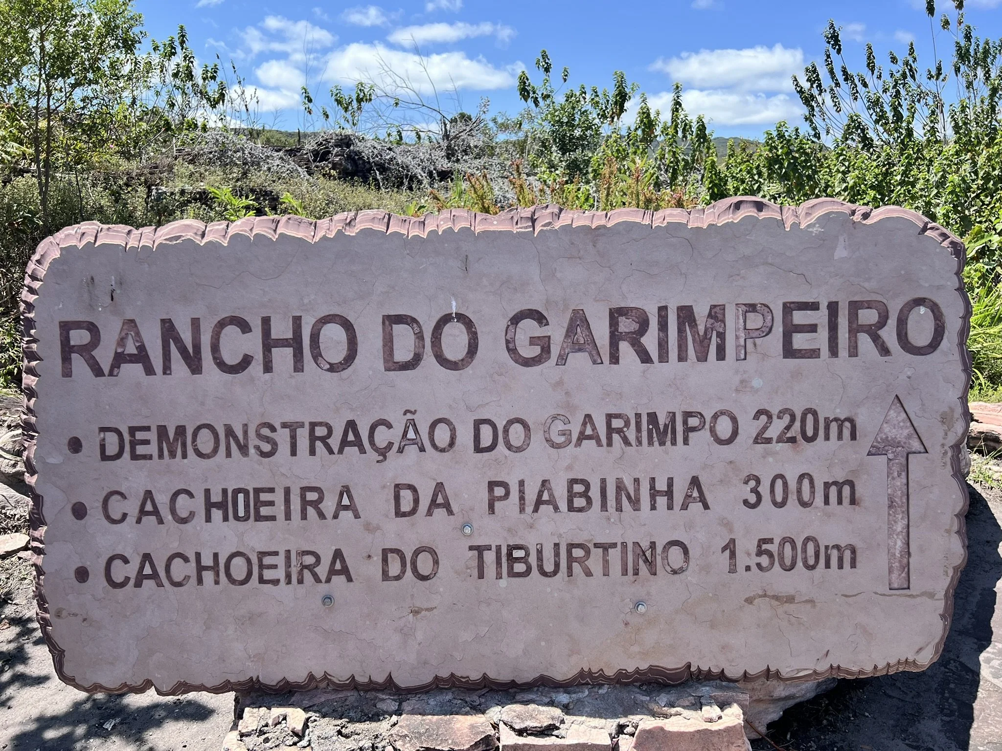 IMG_6066.JPEG