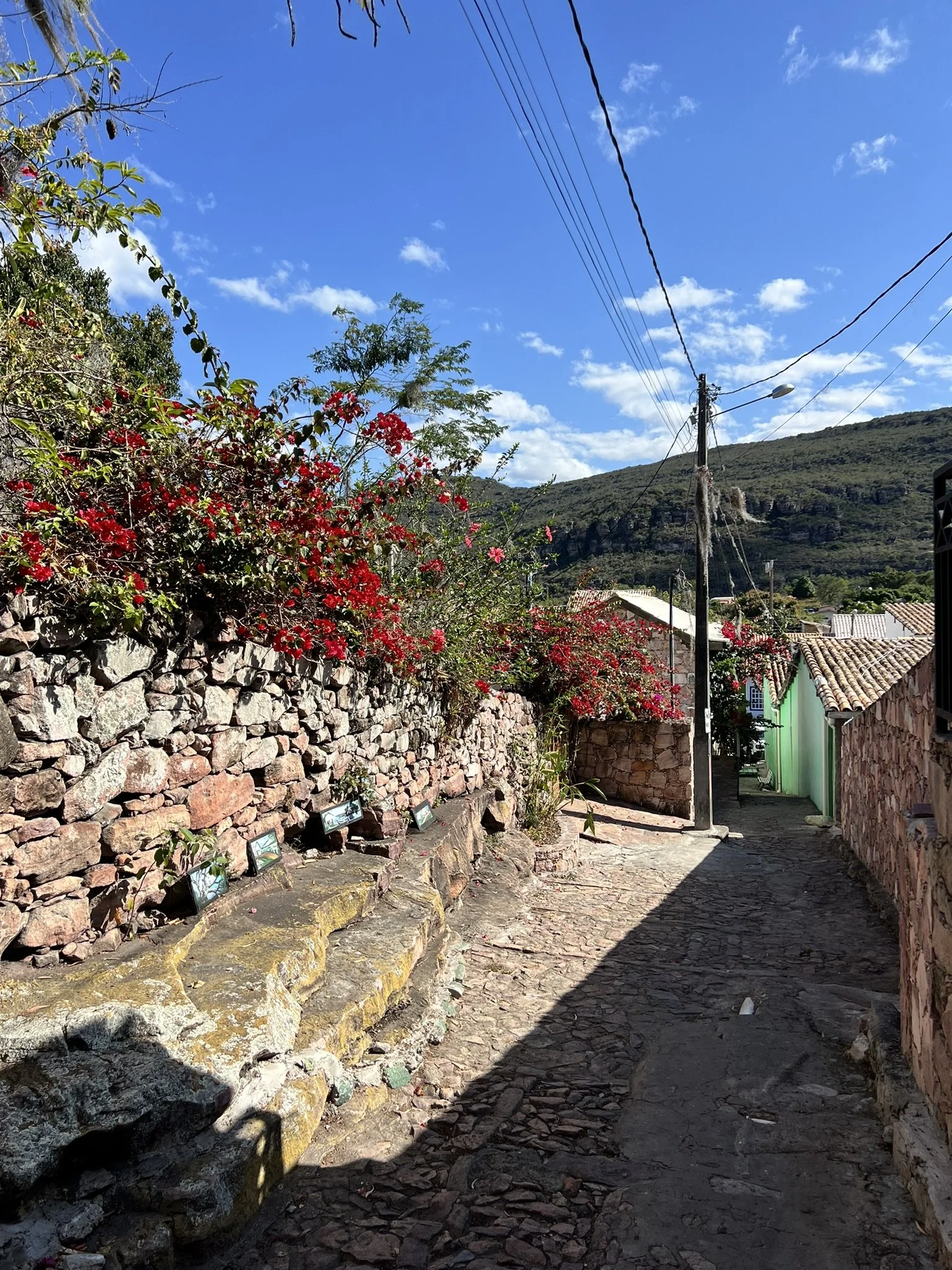 IMG_6103.JPEG