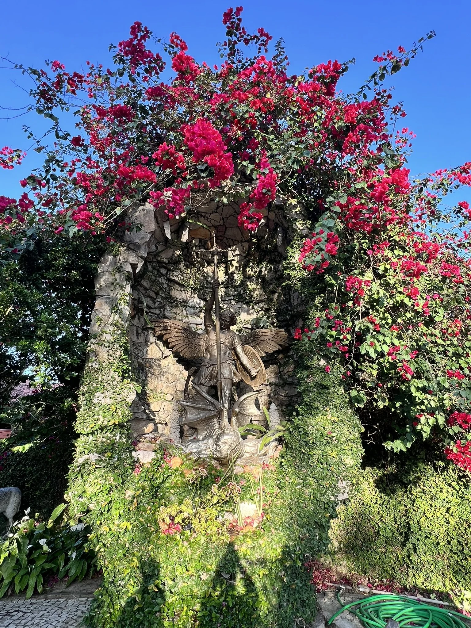 IMG_6699.JPEG