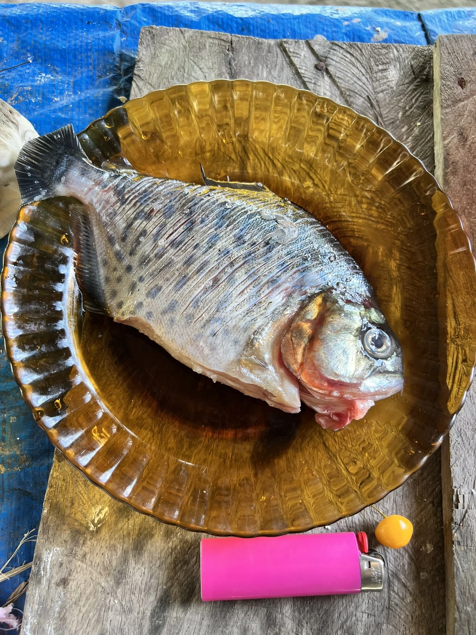 IMG_7140.JPEG