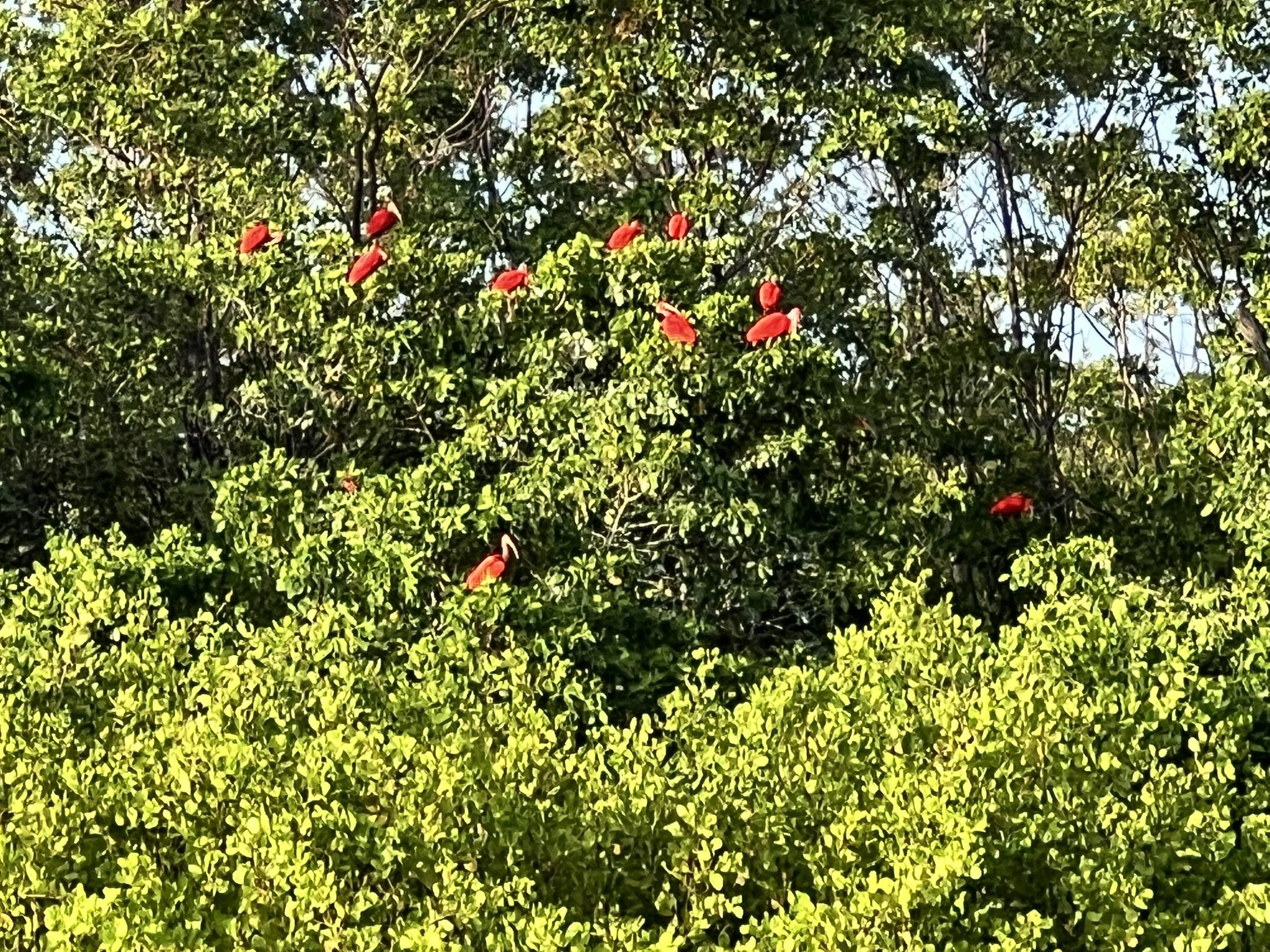 IMG_7681.JPEG
