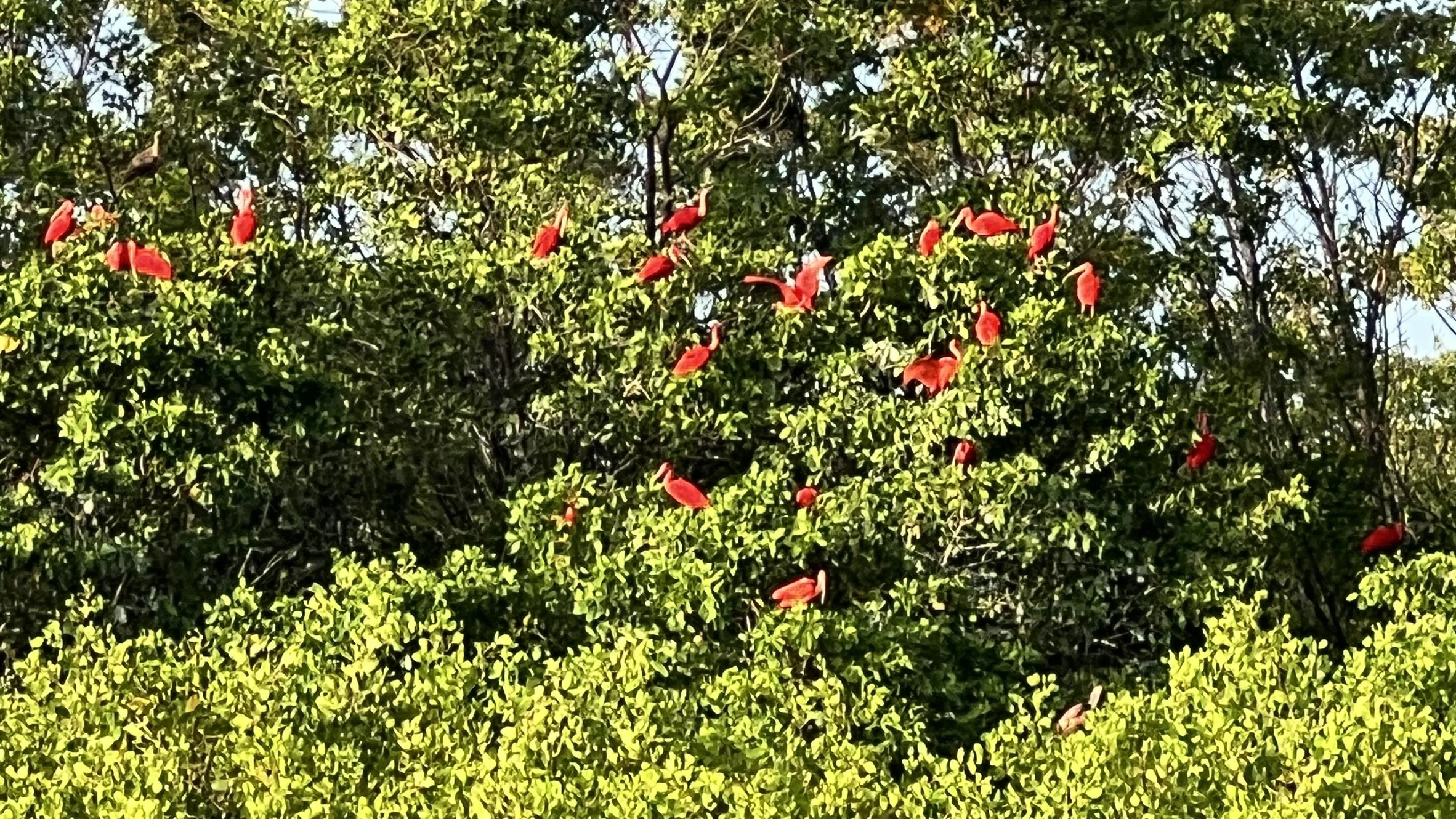 IMG_7687.JPEG