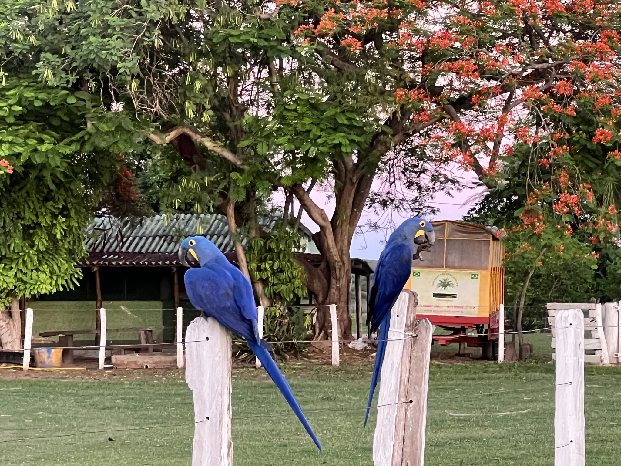 IMG_8926.JPEG