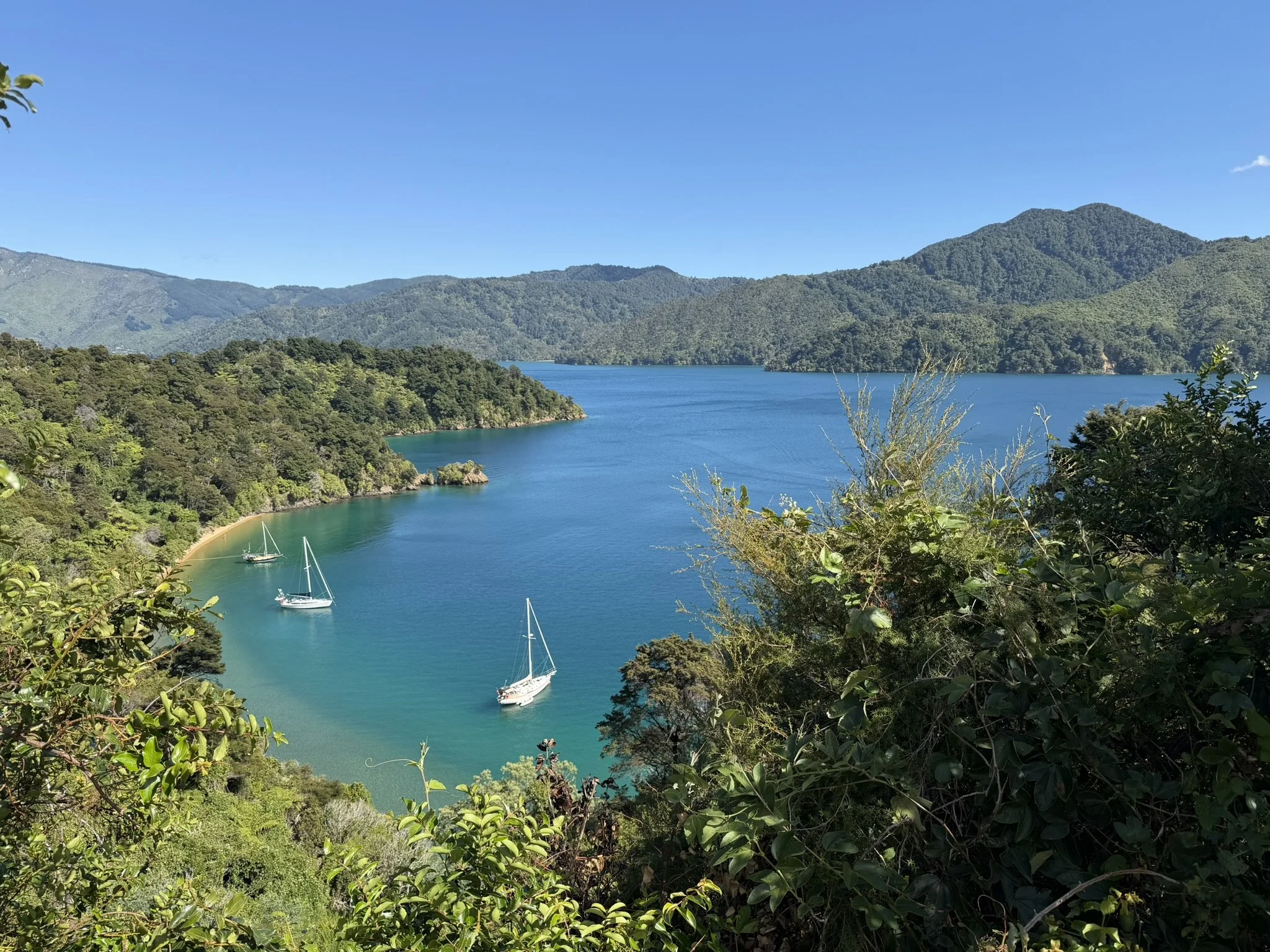 Marlborough et Tasman