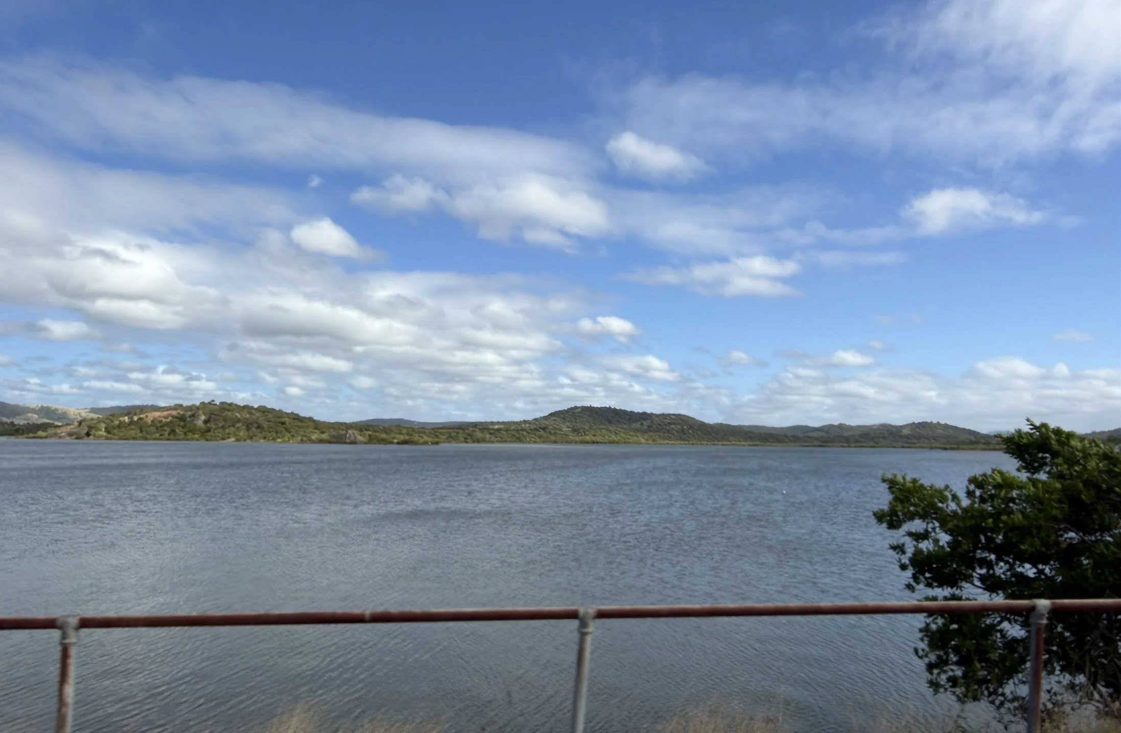 IMG_0894.JPEG