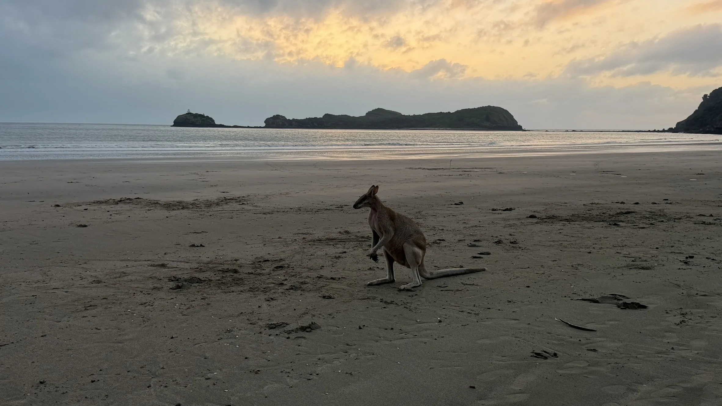 IMG_4009.JPEG
