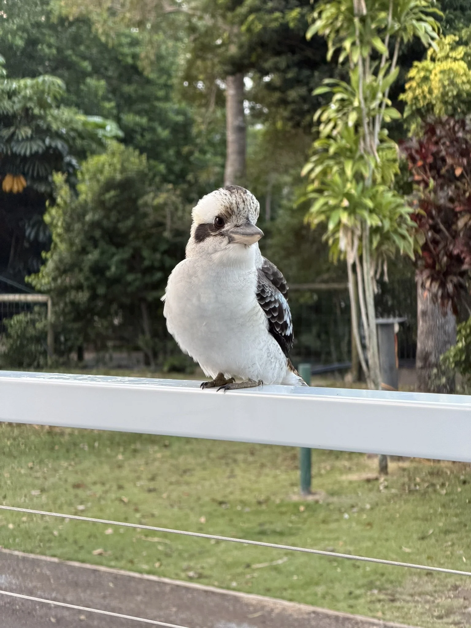 IMG_4034.JPEG