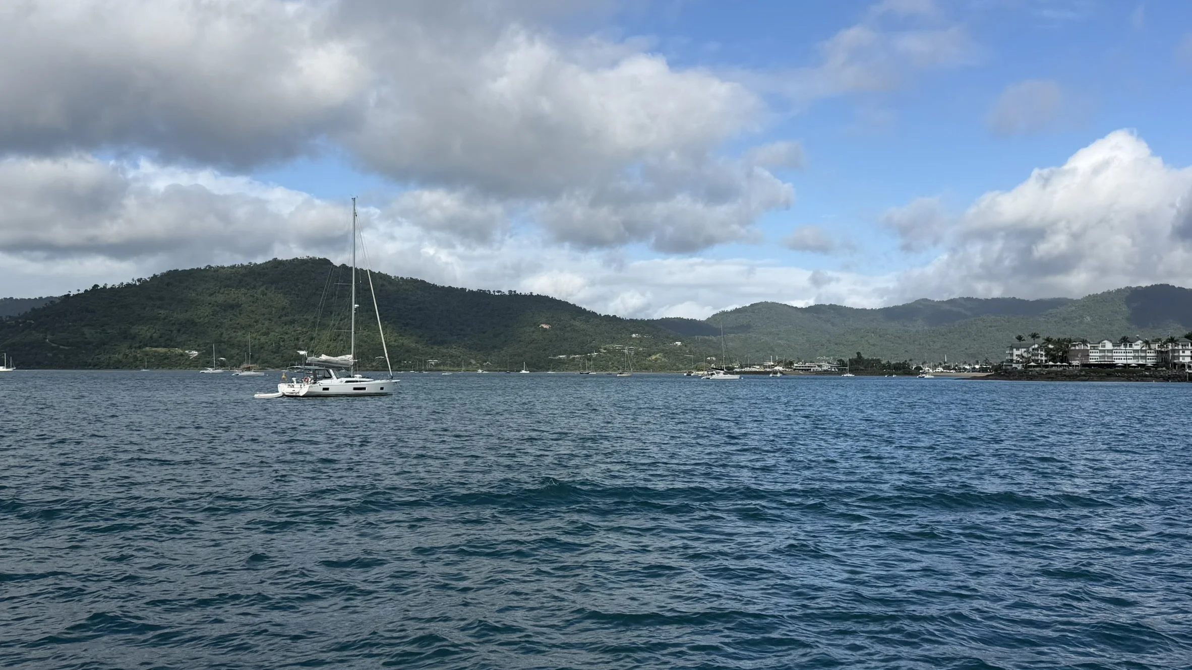 IMG_4051.JPEG