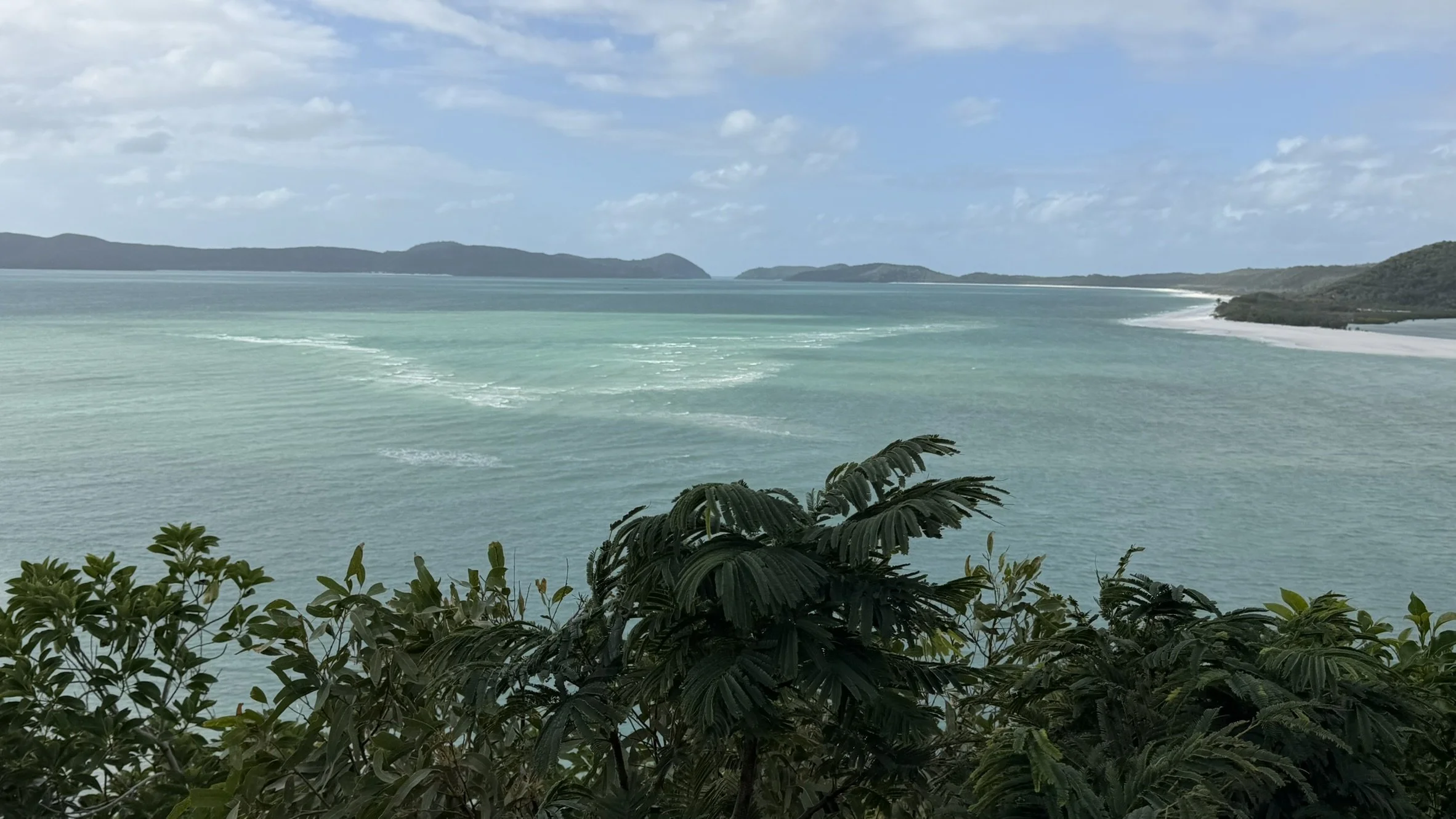 IMG_4117.JPEG