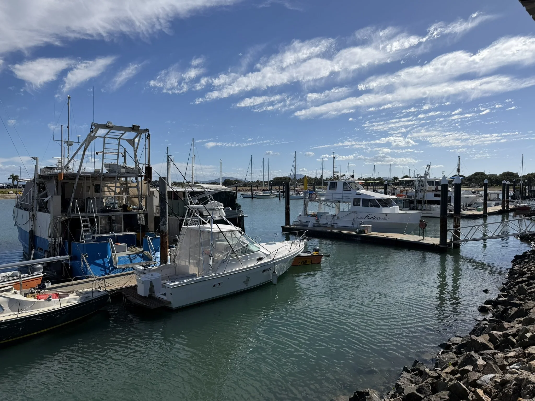 IMG_4284.JPEG