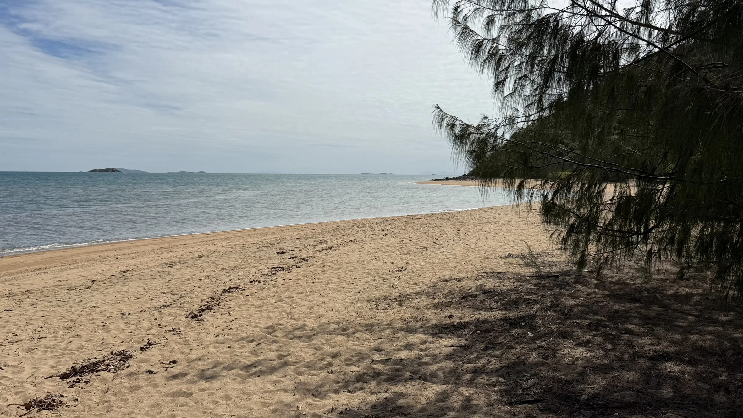 IMG_4407.JPEG