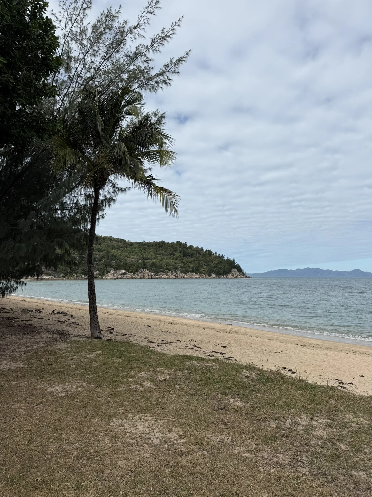IMG_4413.JPEG