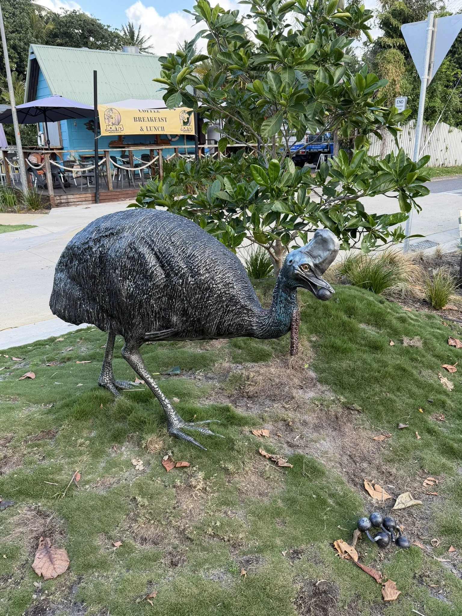 IMG_4491.JPEG
