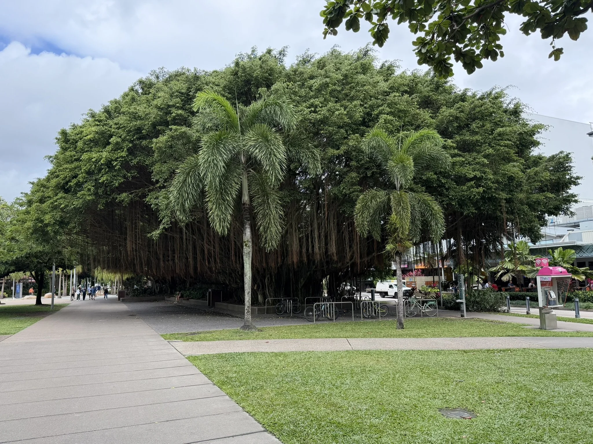 IMG_4541.JPEG