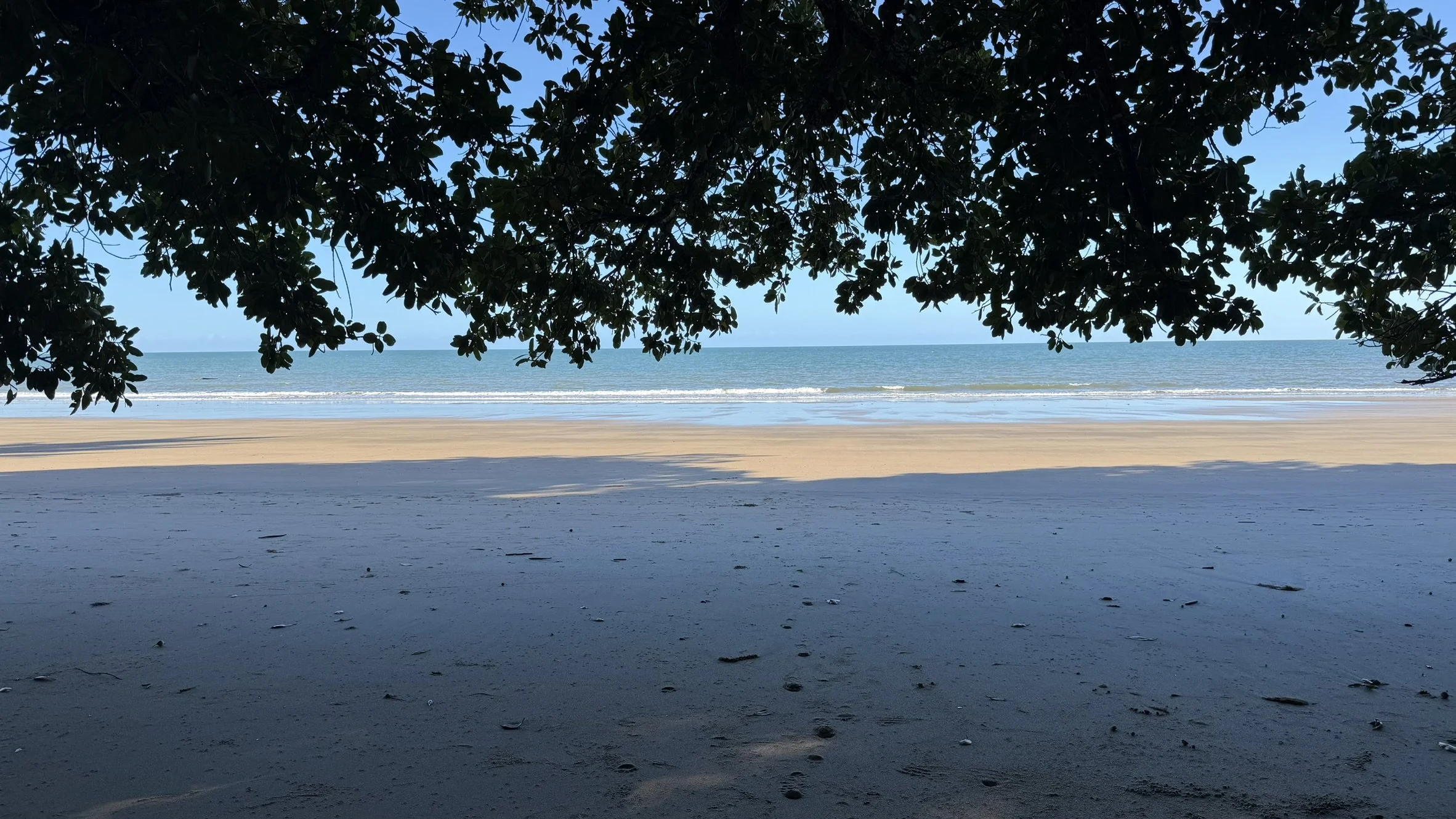 IMG_4593.JPEG