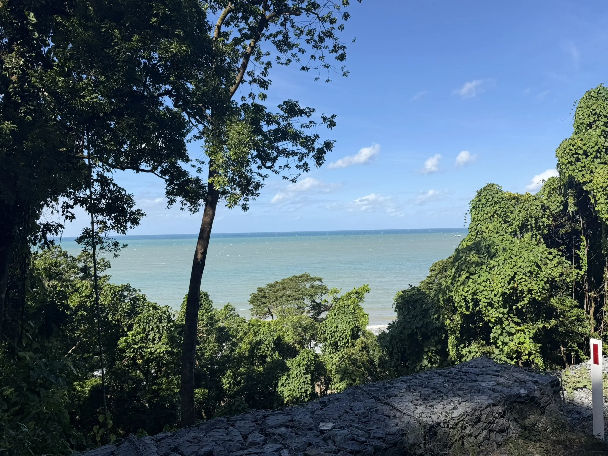 IMG_5449.JPEG