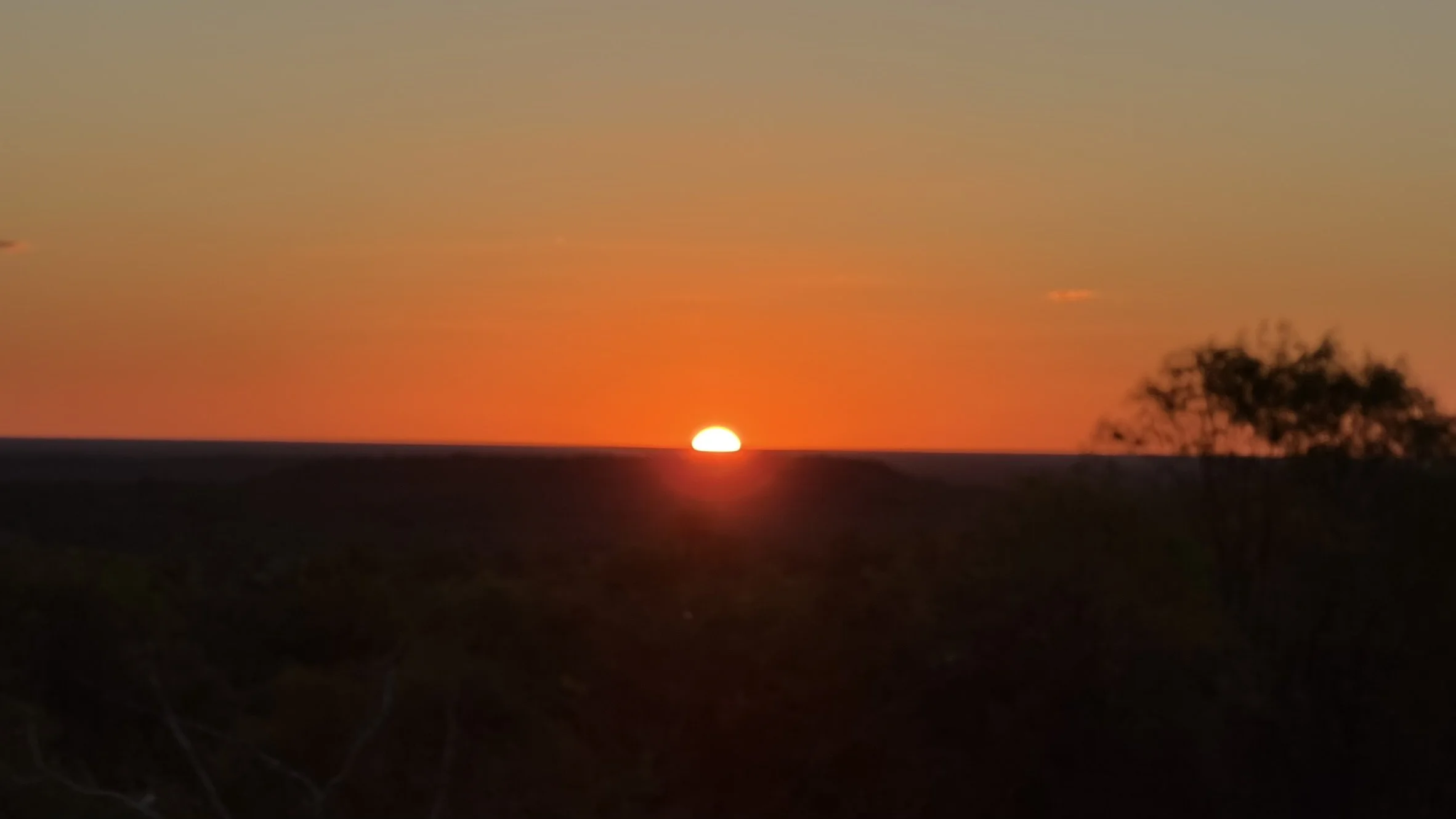 IMG_4886.JPEG