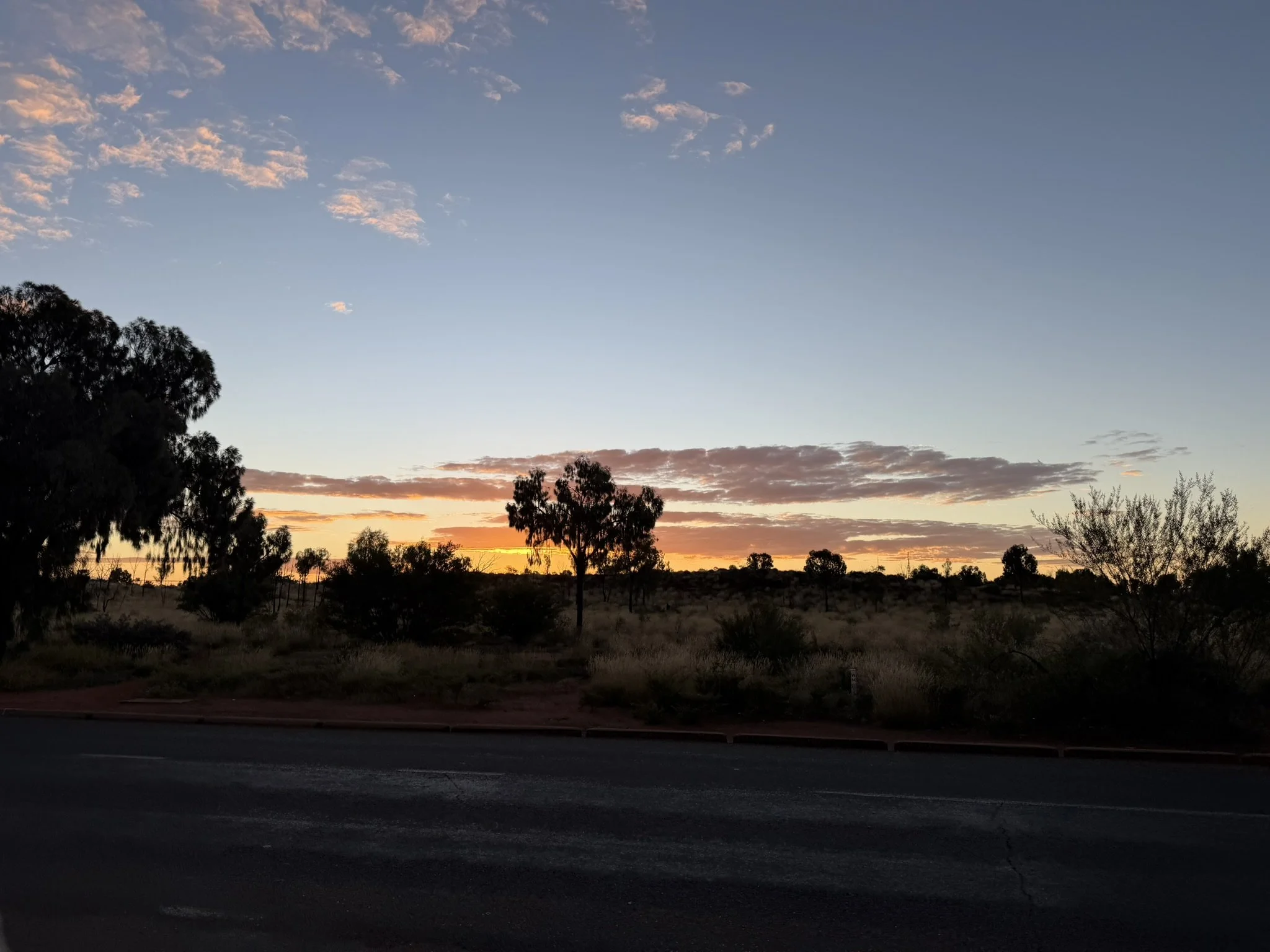 IMG_0133.JPEG
