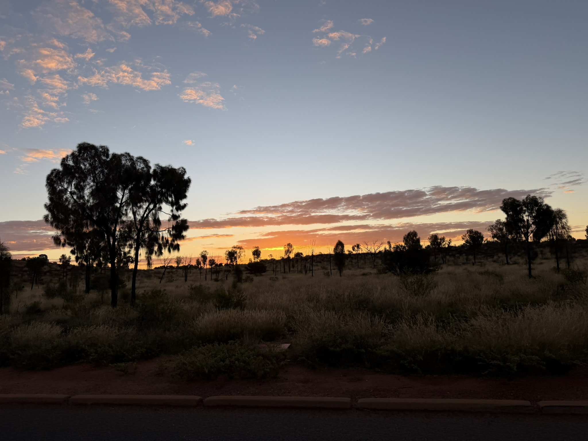 IMG_0140.JPEG