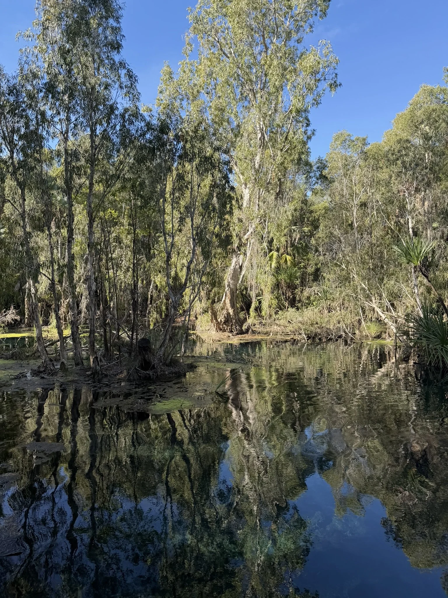IMG_5474.JPEG