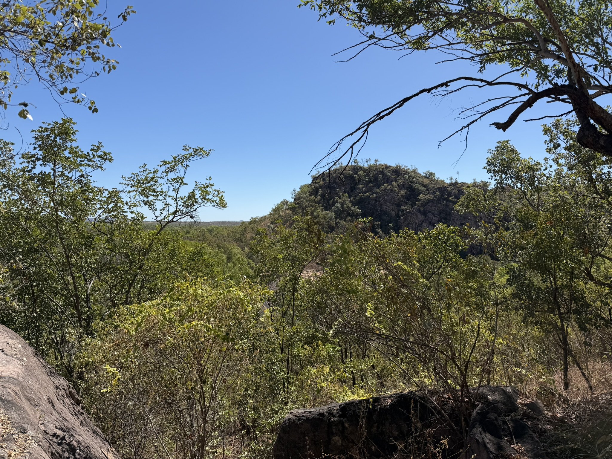 IMG_5500.JPEG