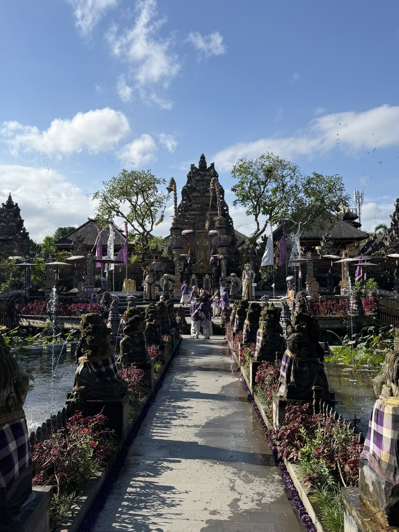 IMG_5672.JPEG