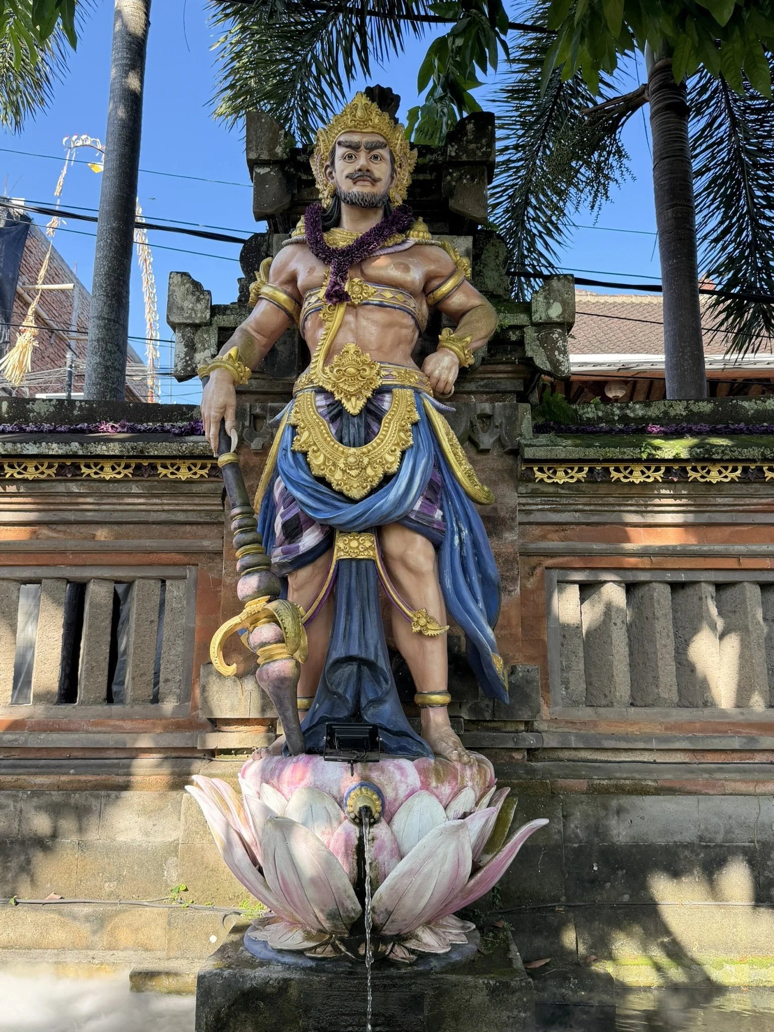IMG_5697.JPEG